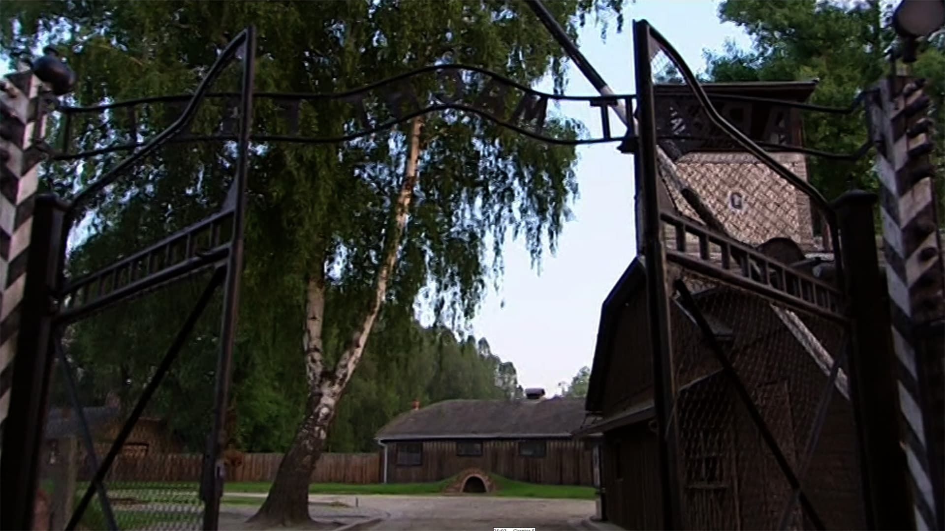 Auschwitz: Inside the Nazi State background
