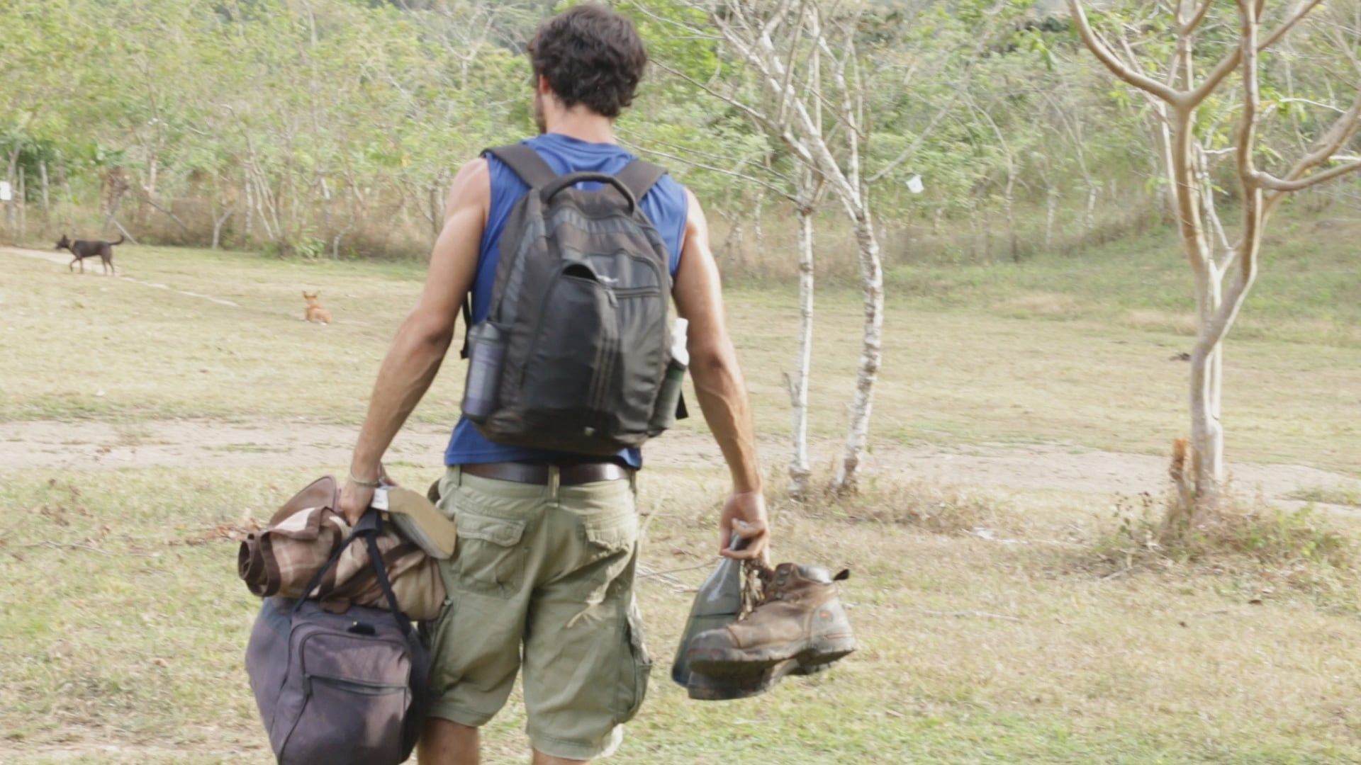 Jungletown background