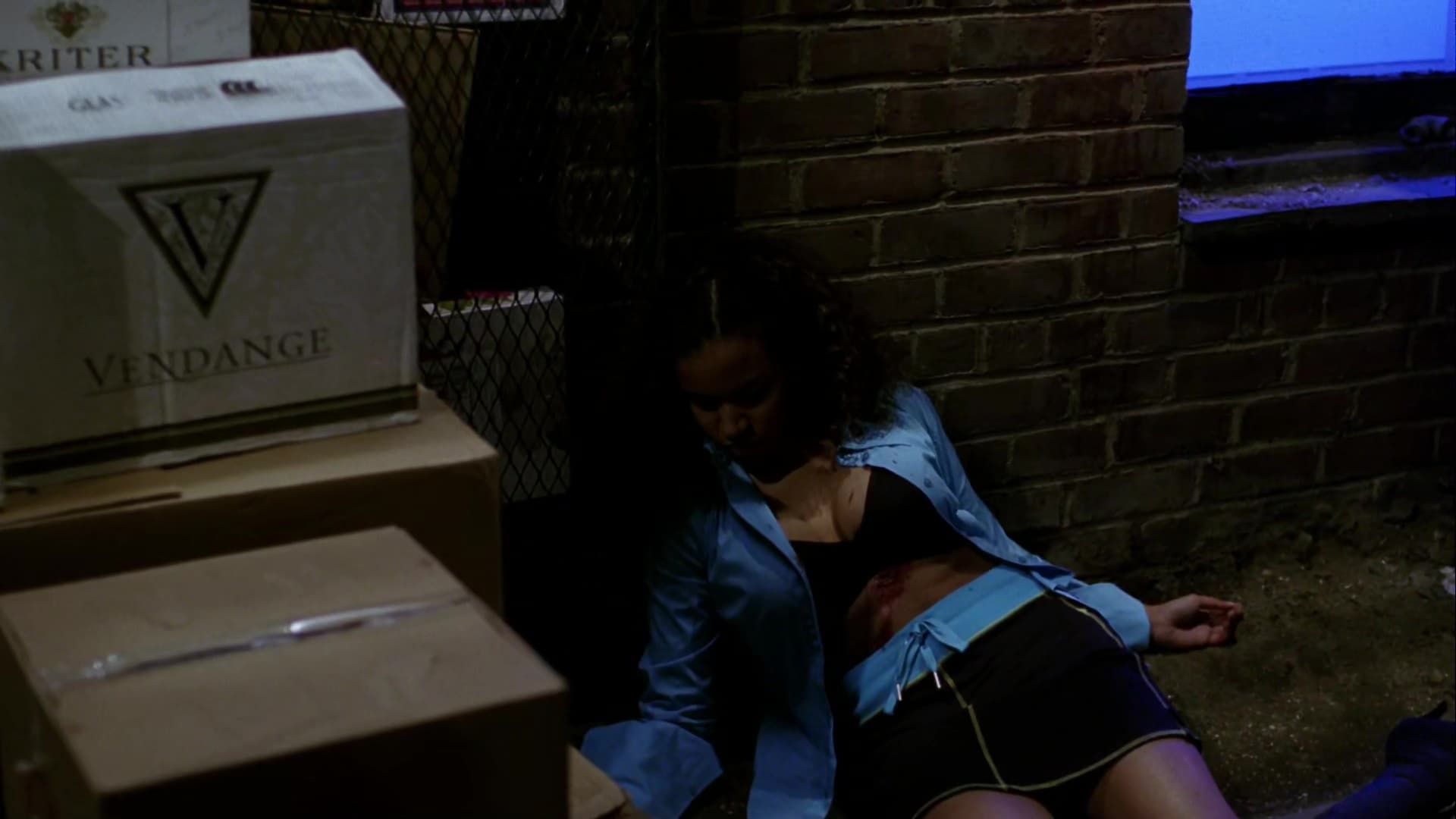 Law & Order: Special Victims Unit background