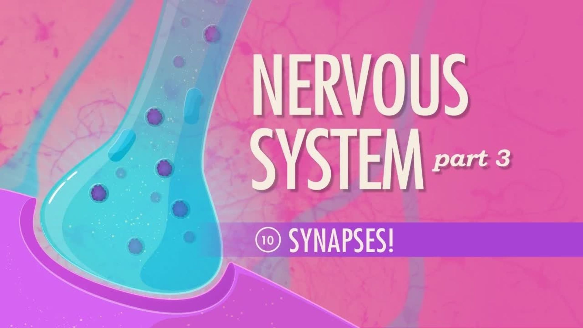 Crash Course: Anatomy & Physiology background