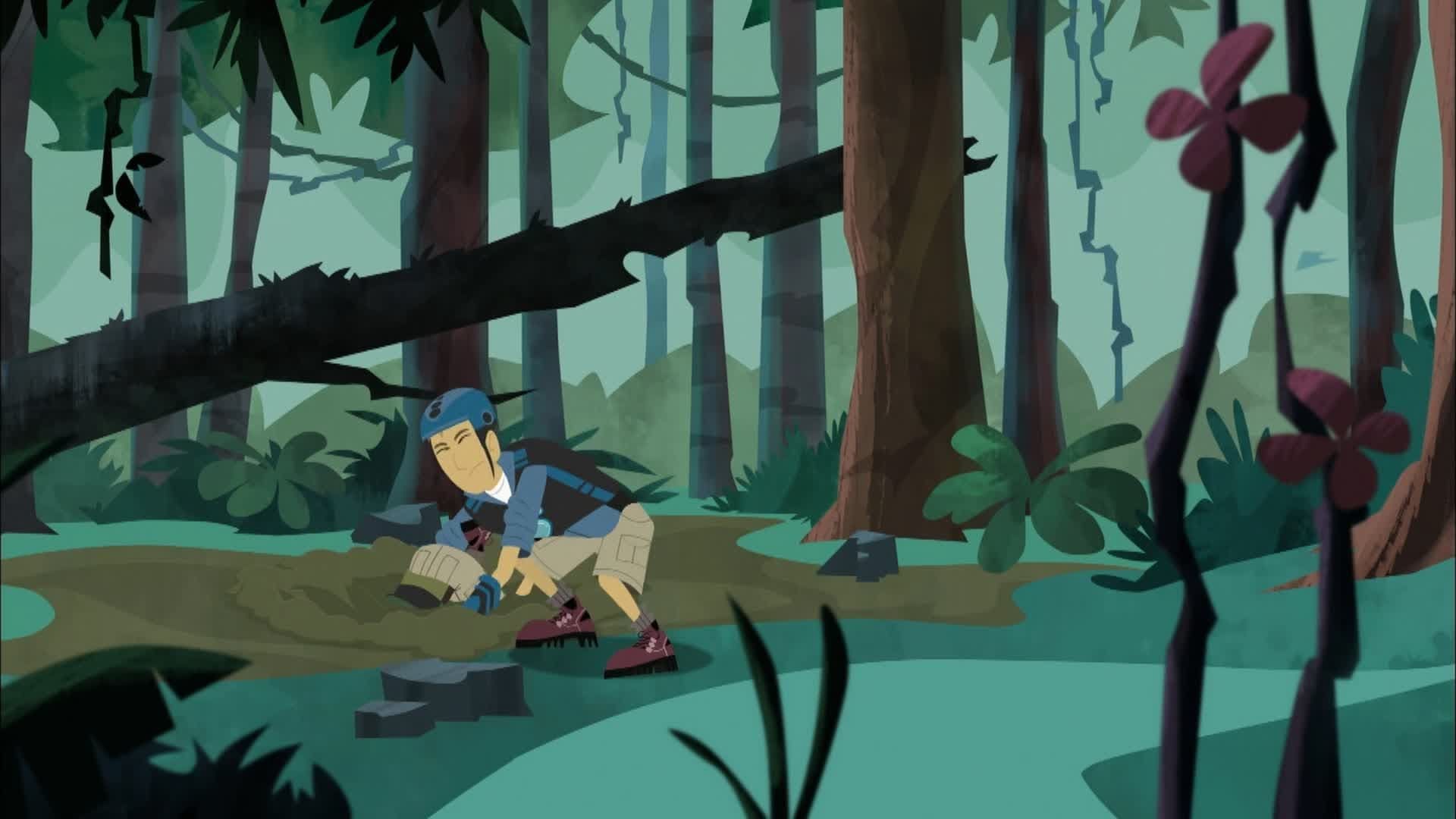 Wild Kratts background