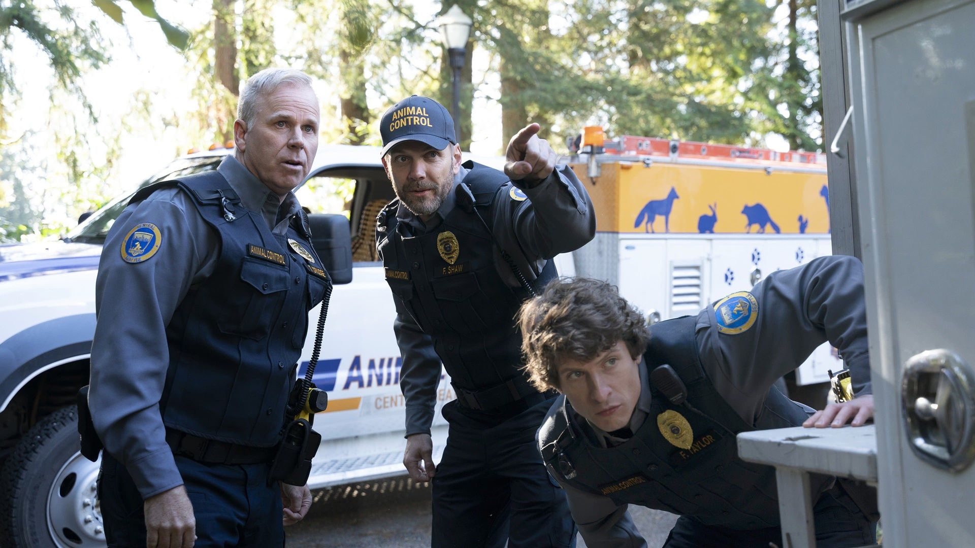 Animal Control background