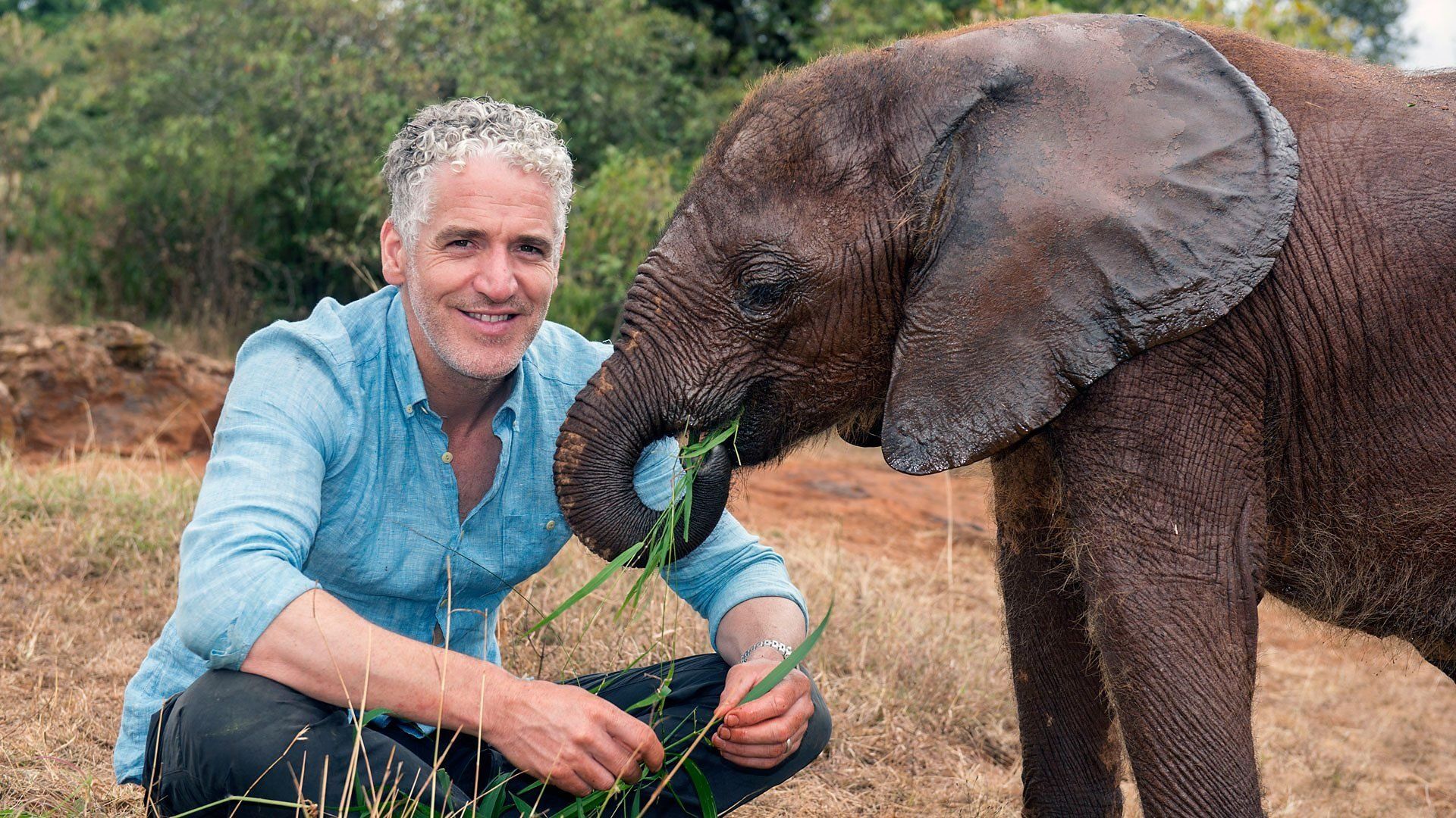 Gordon Buchanan: Elephant Family & Me background