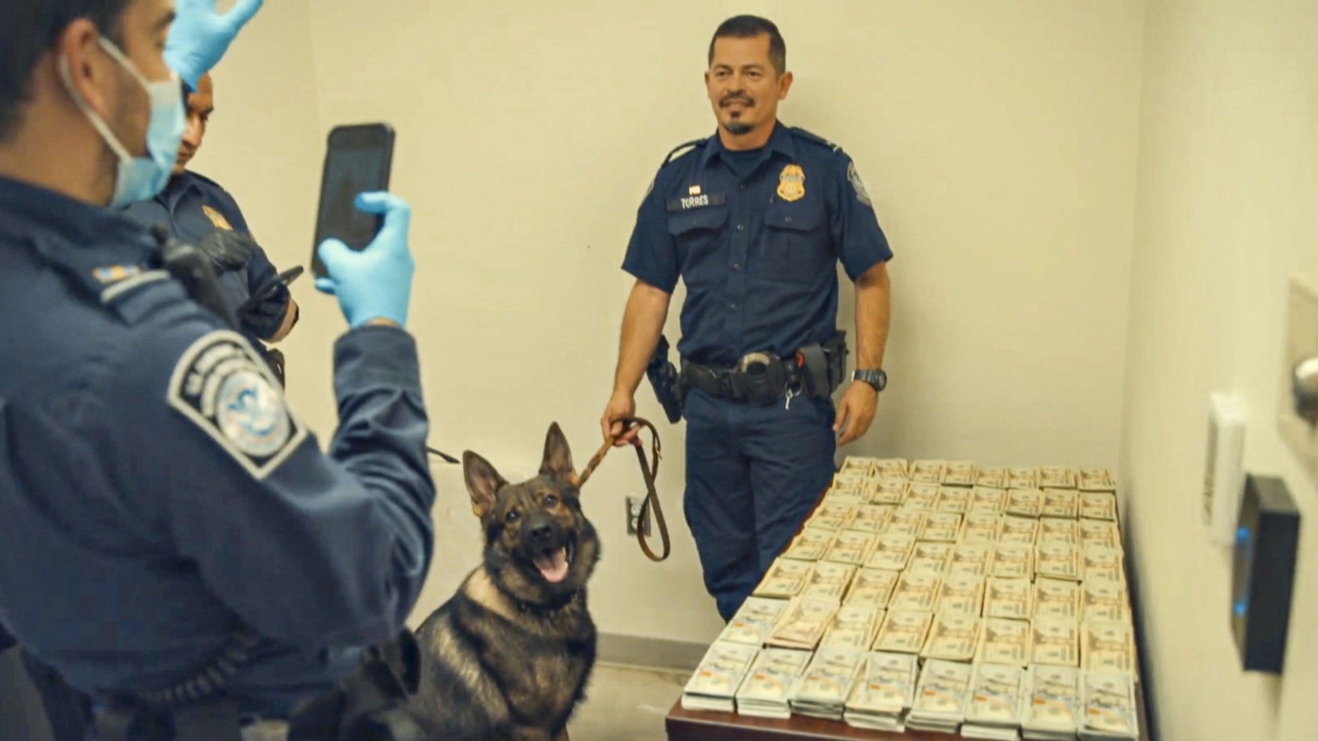 Contraband: Seized at the Border background
