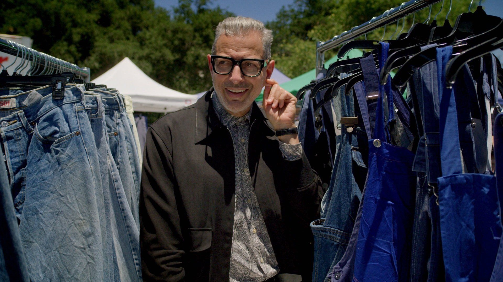 The World According to Jeff Goldblum background