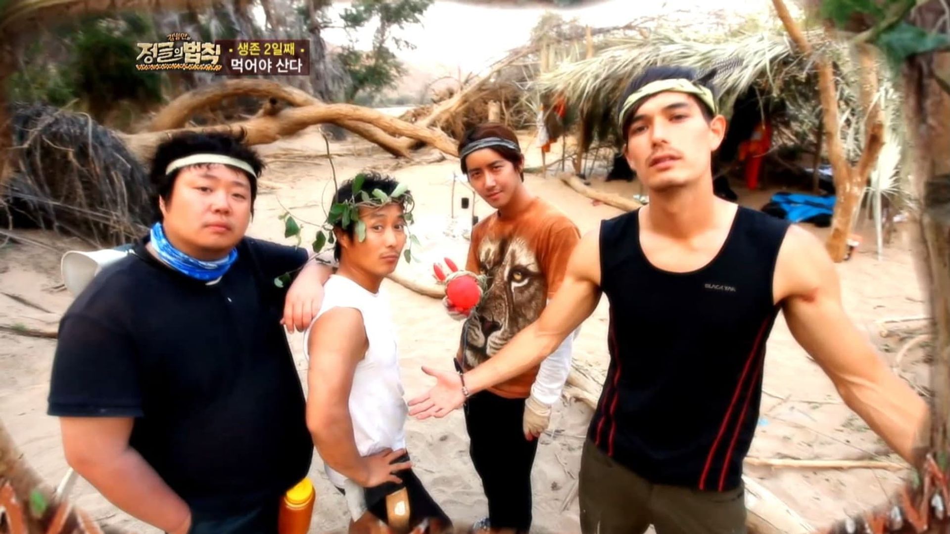 Law of the Jungle background