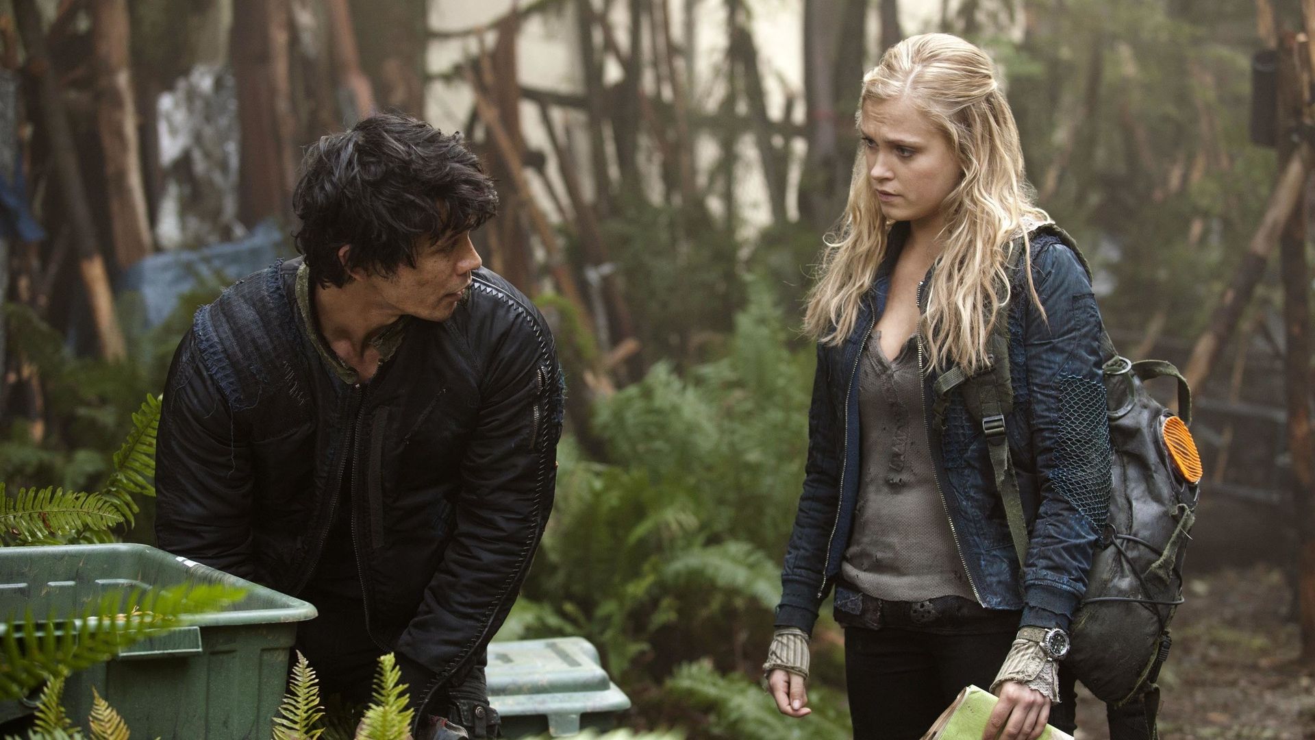 The 100 background