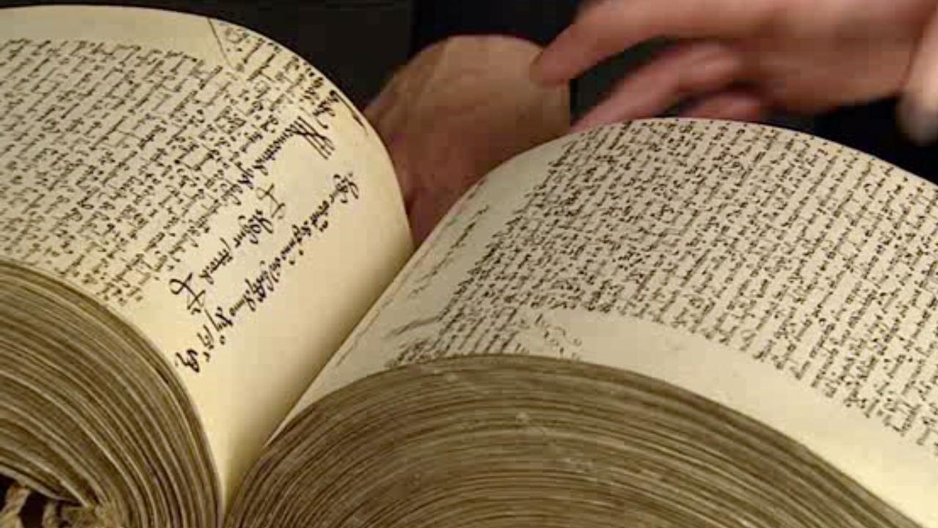 In Search of Shakespeare background