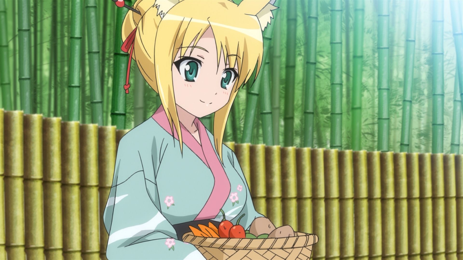 Dog Days background