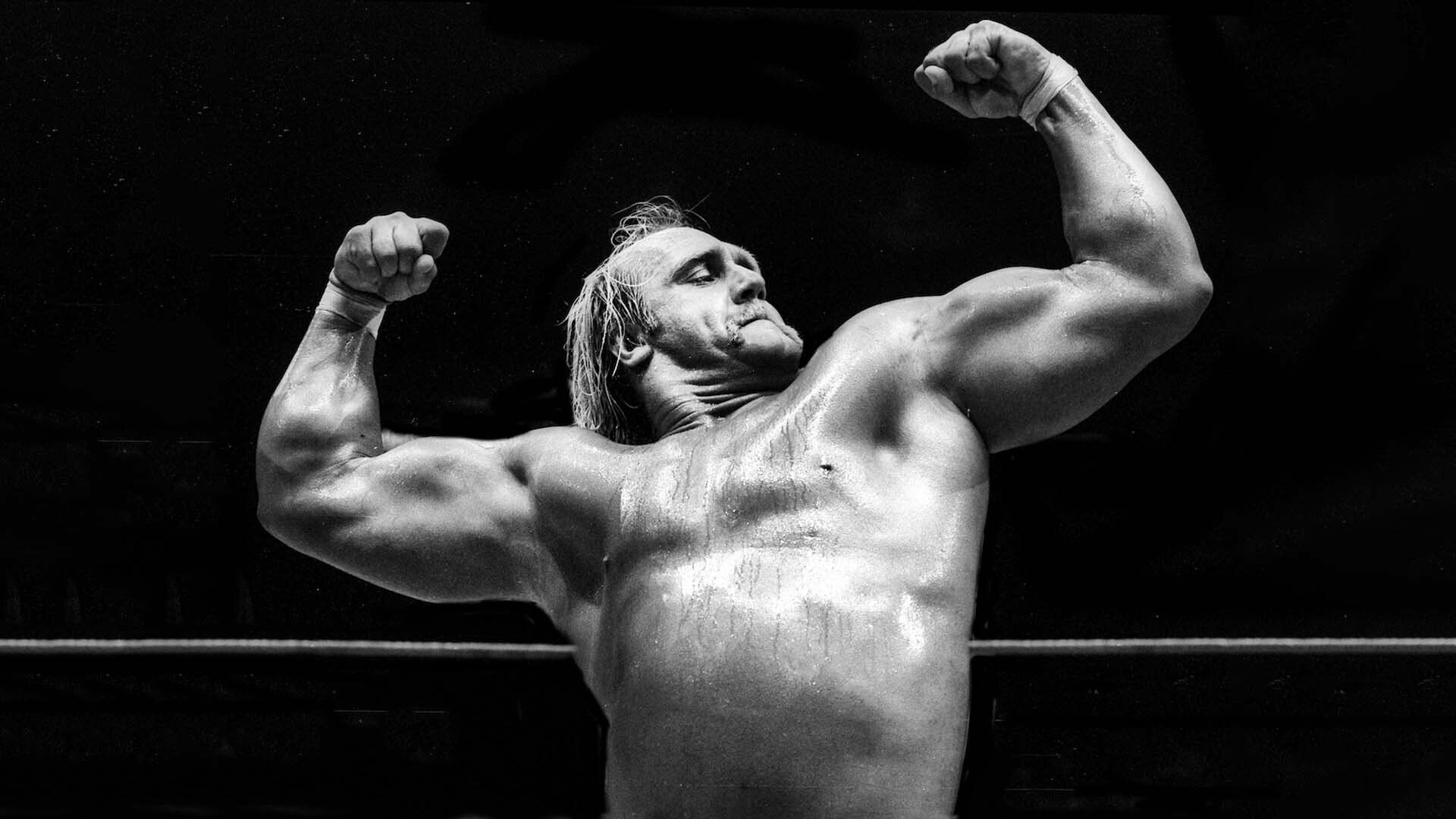 Dark Side of the Ring background