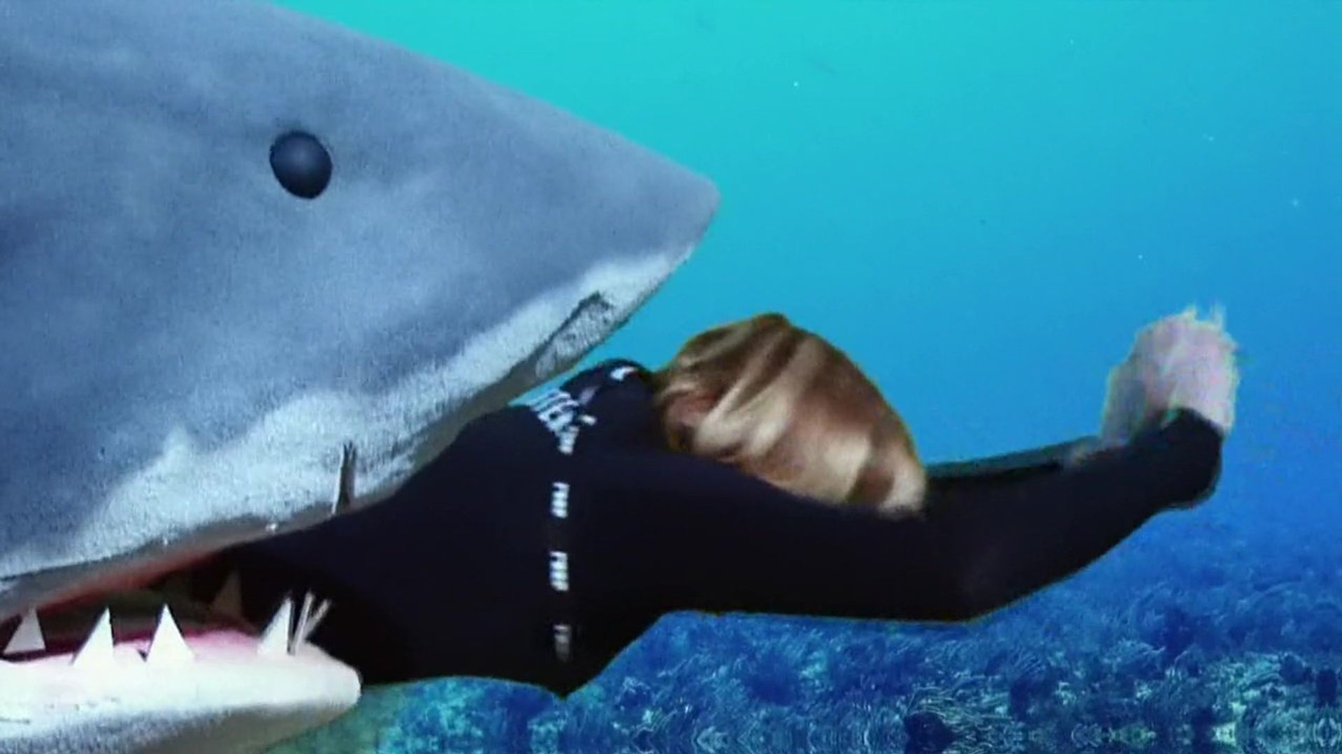 MythBusters background