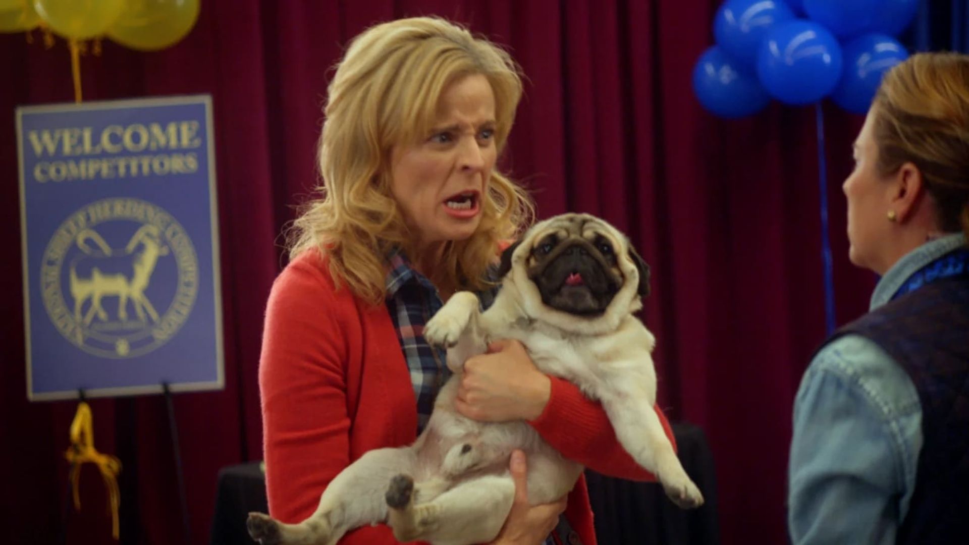 Lady Dynamite background