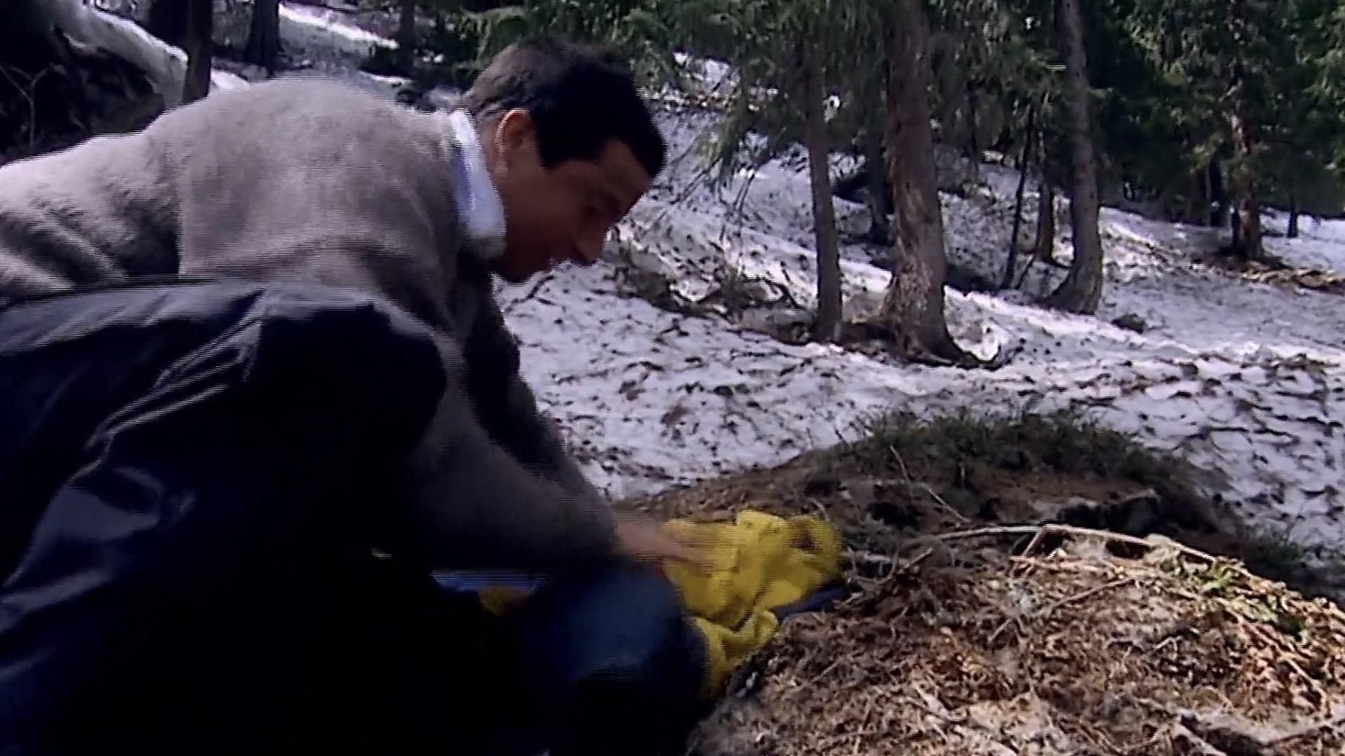 Man vs. Wild background
