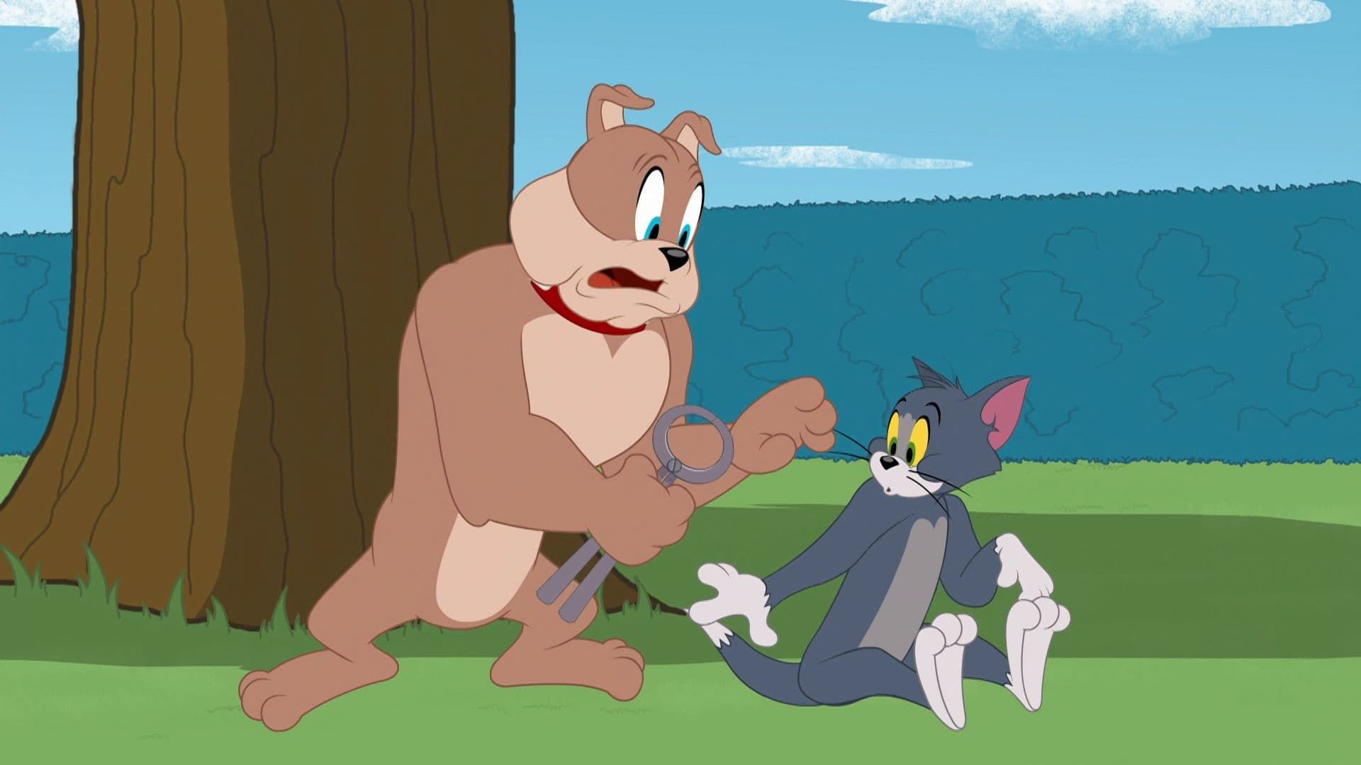 The Tom and Jerry Show background