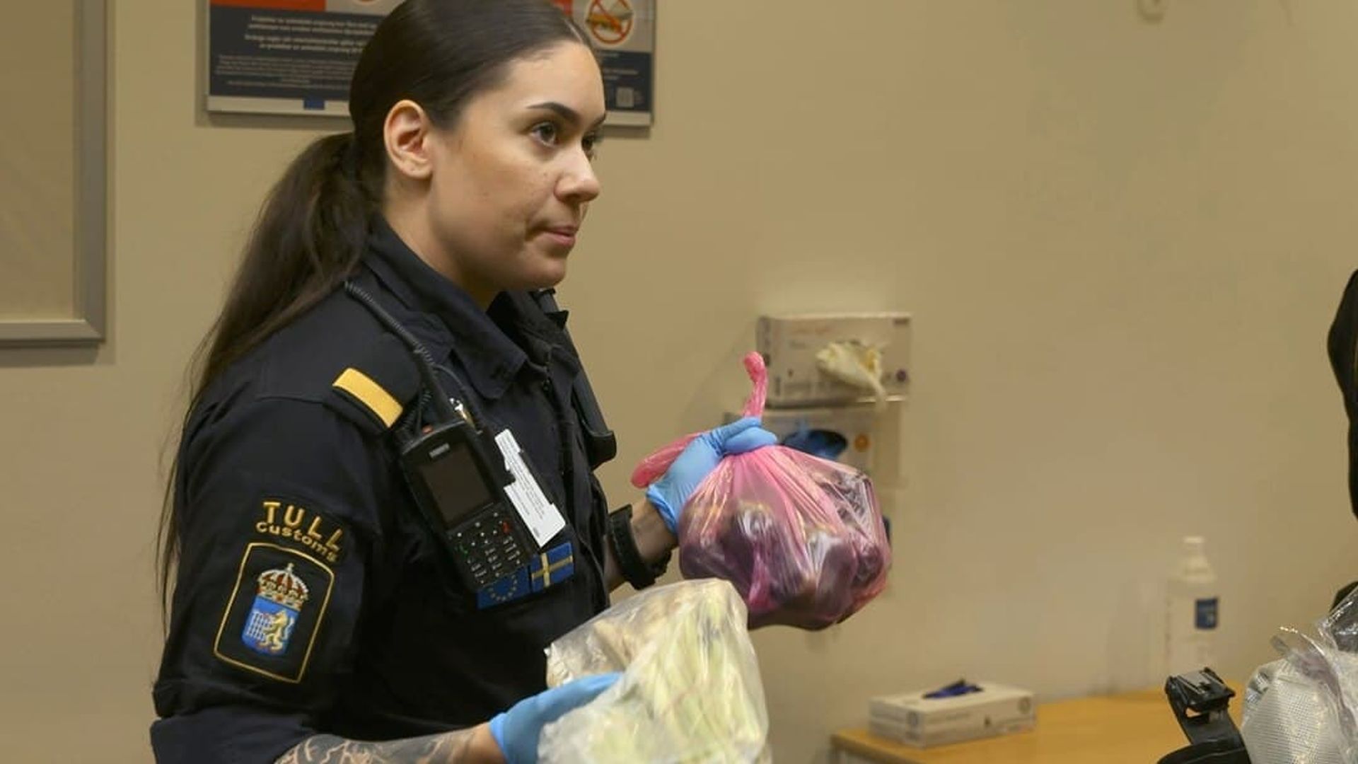 Border Control: Sweden background
