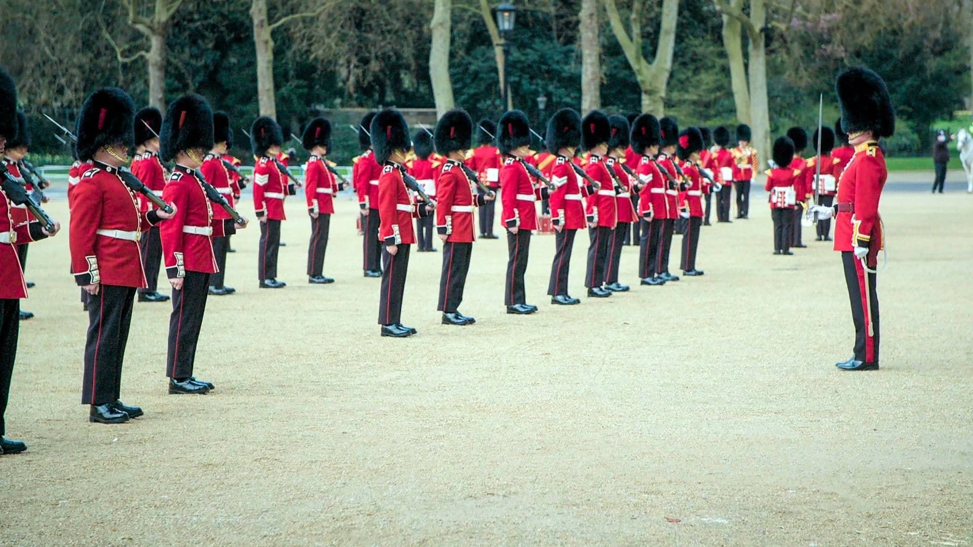 The Queen's Guards: A Year in Service background