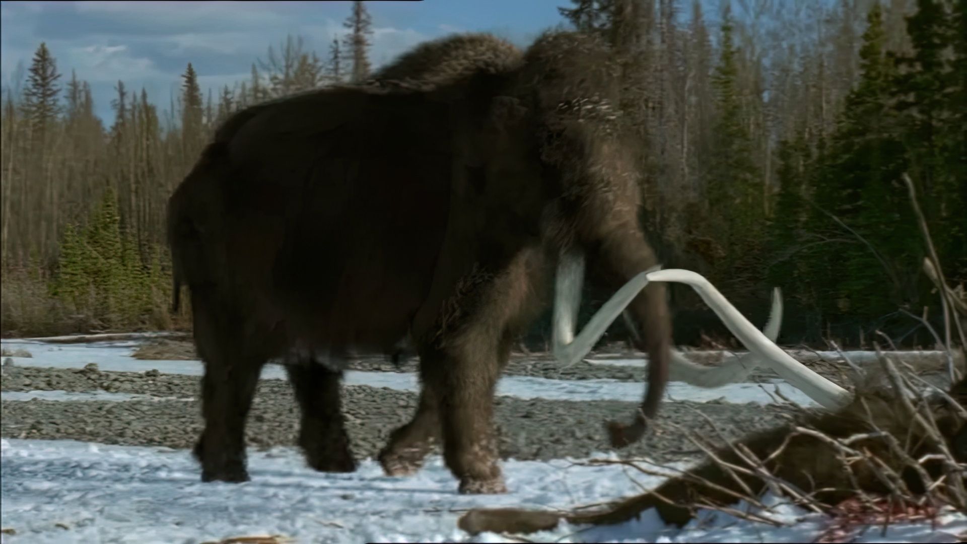 Prehistoric Park background