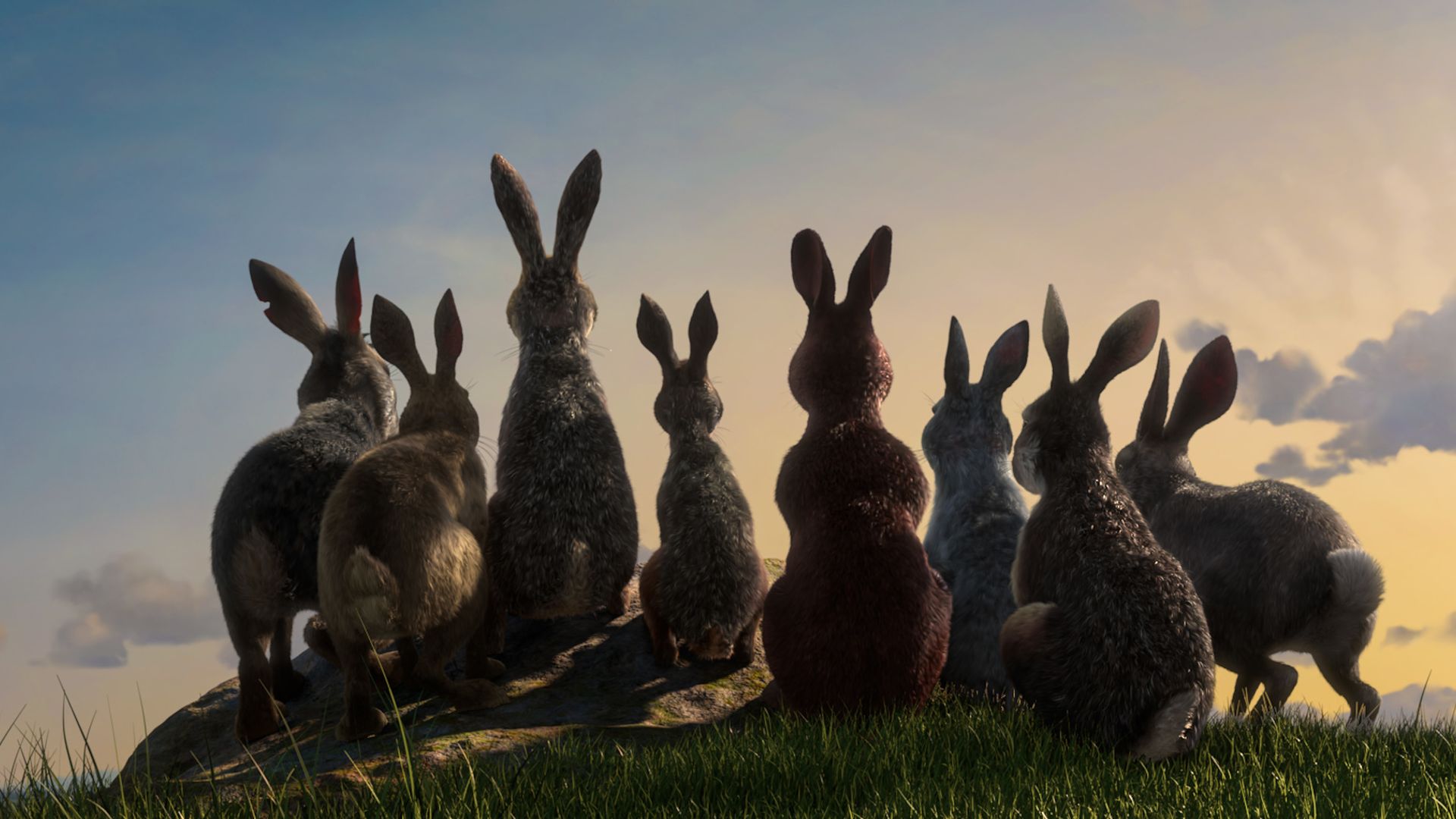 Watership Down background