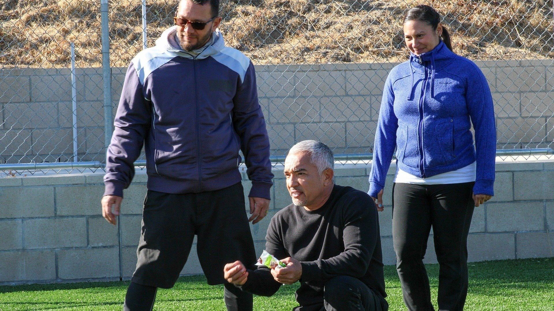 Cesar Millan: Better Human Better Dog background