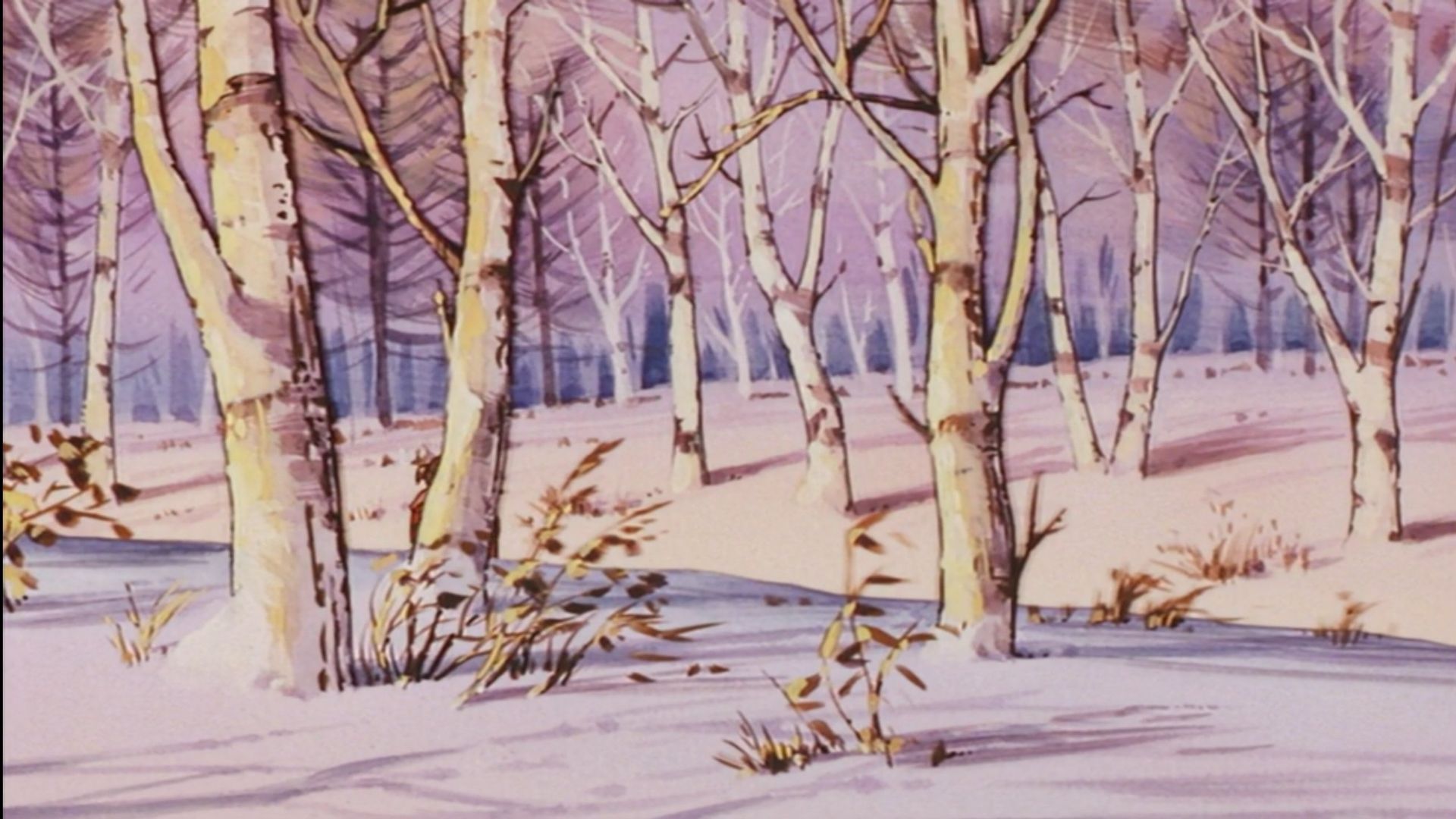 Figure 17 Tsubasa & Hikaru background