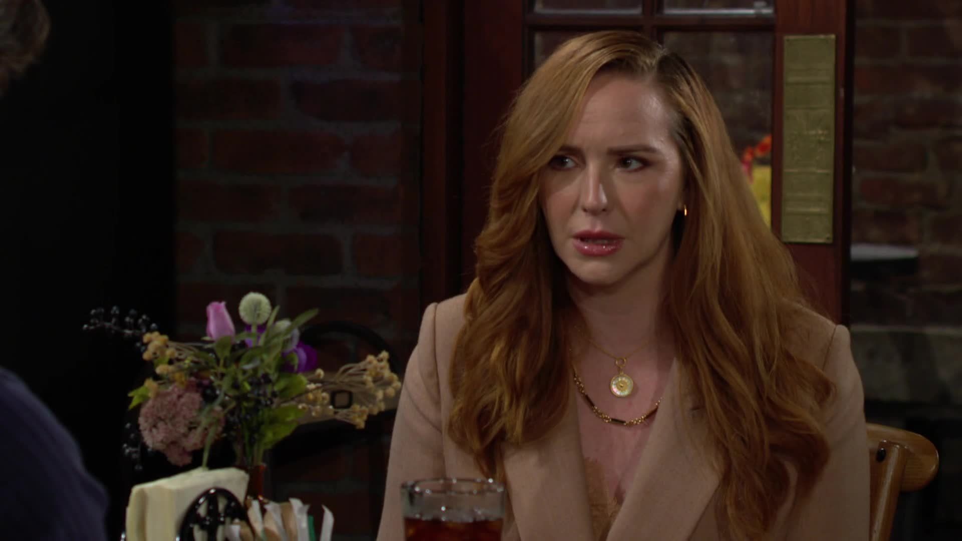The Young and the Restless background