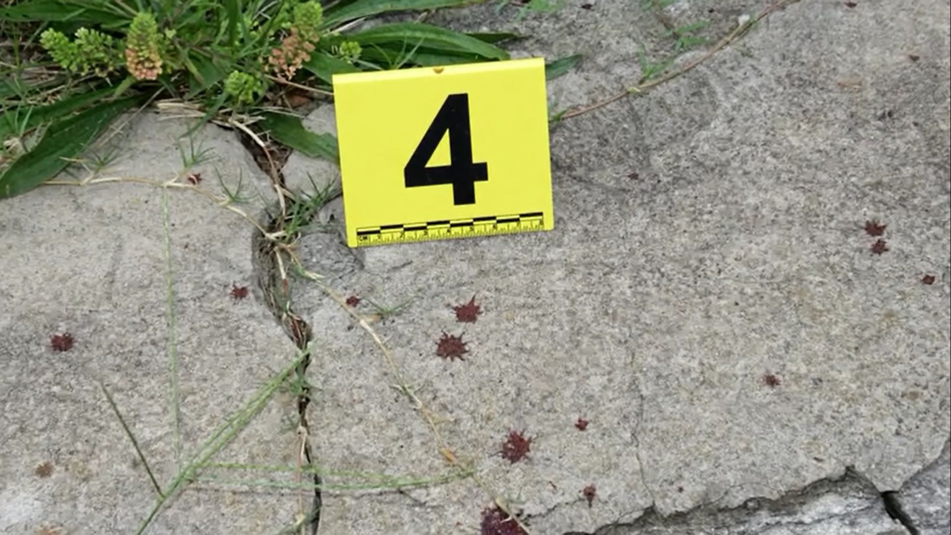 The First 48 Presents: Homicide Squad Atlanta background