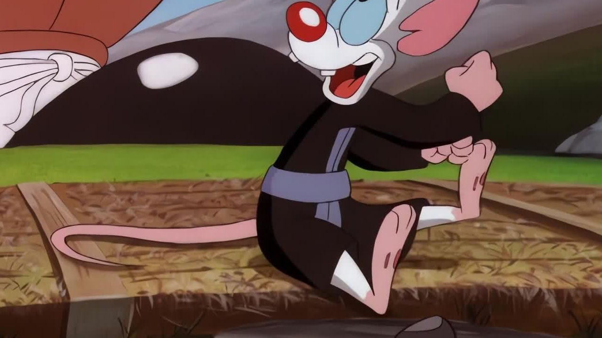 Pinky and the Brain background