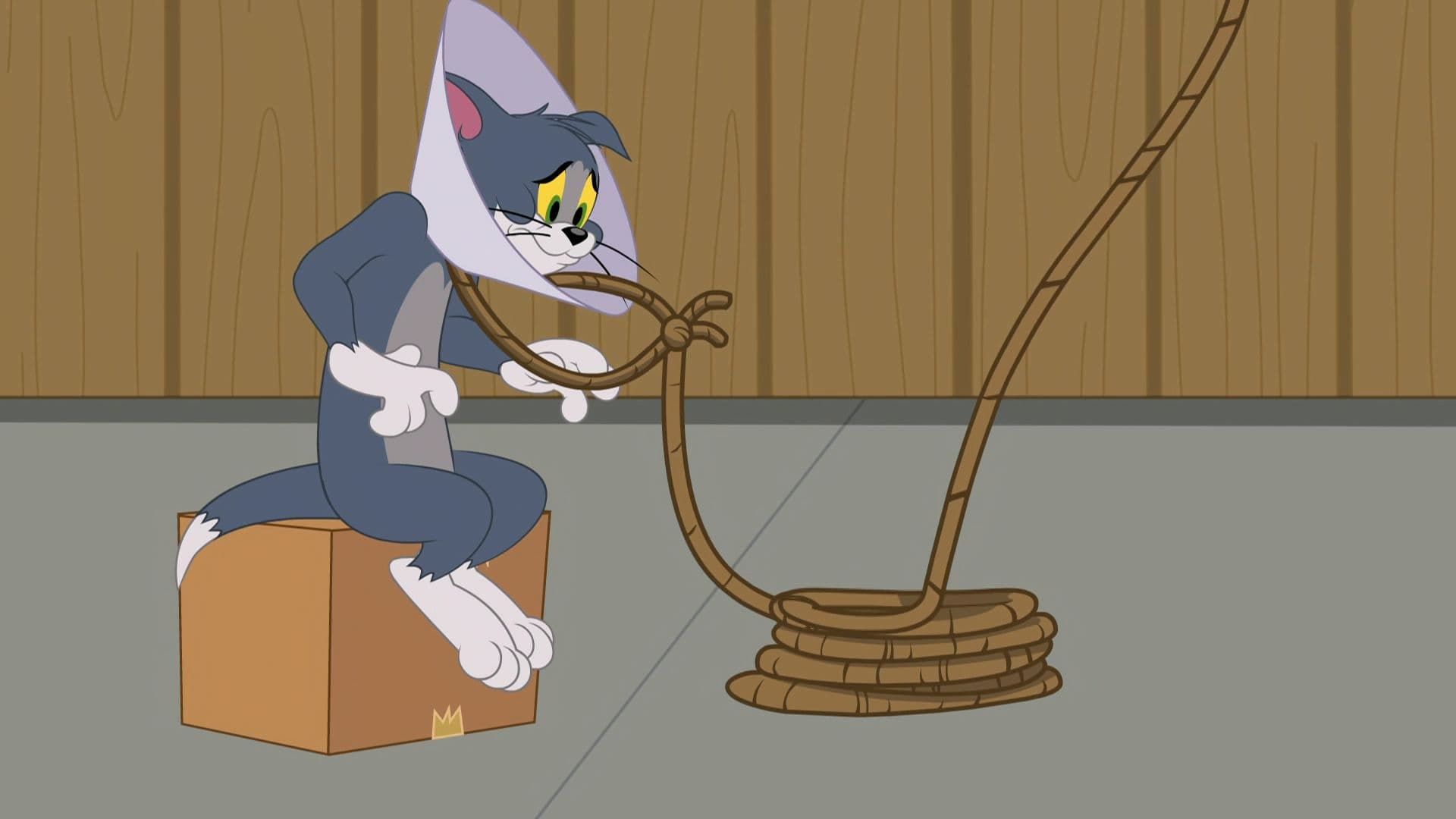 The Tom and Jerry Show background
