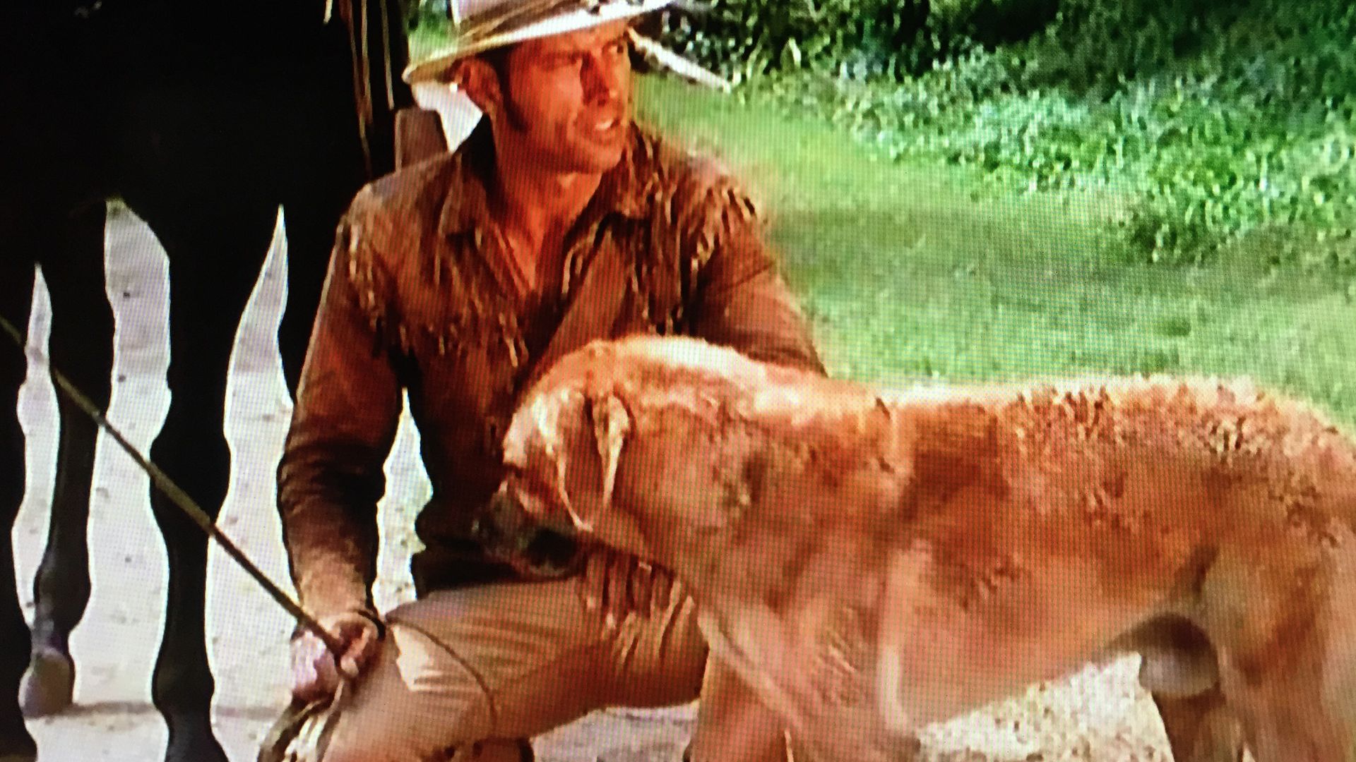 Hondo background