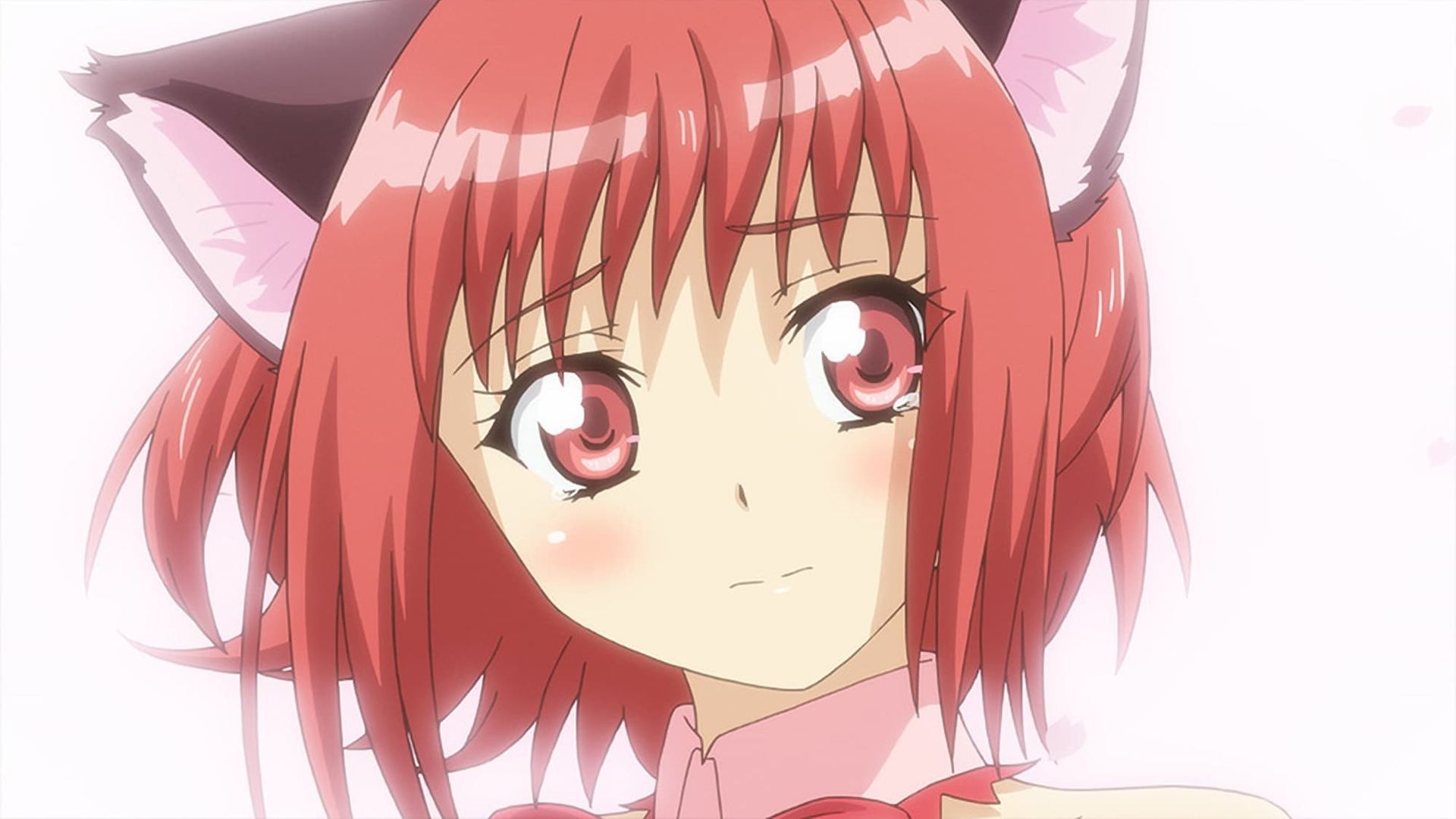 Tokyo Mew Mew New background