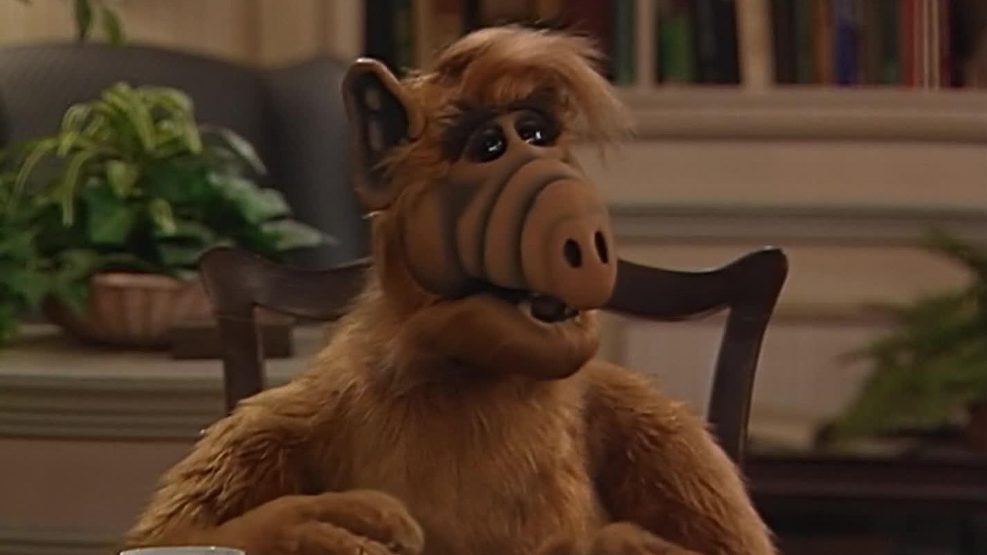 ALF background