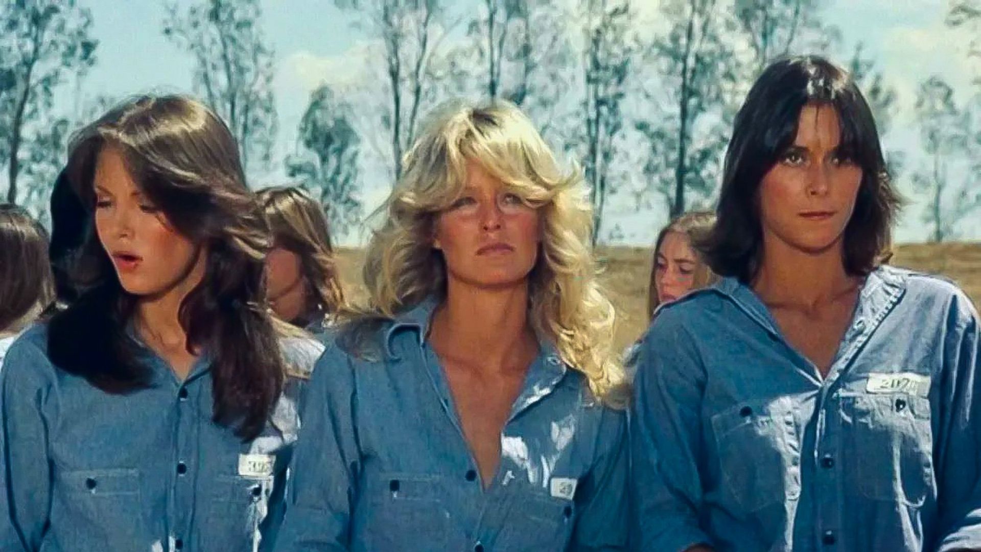 Charlie's Angels background