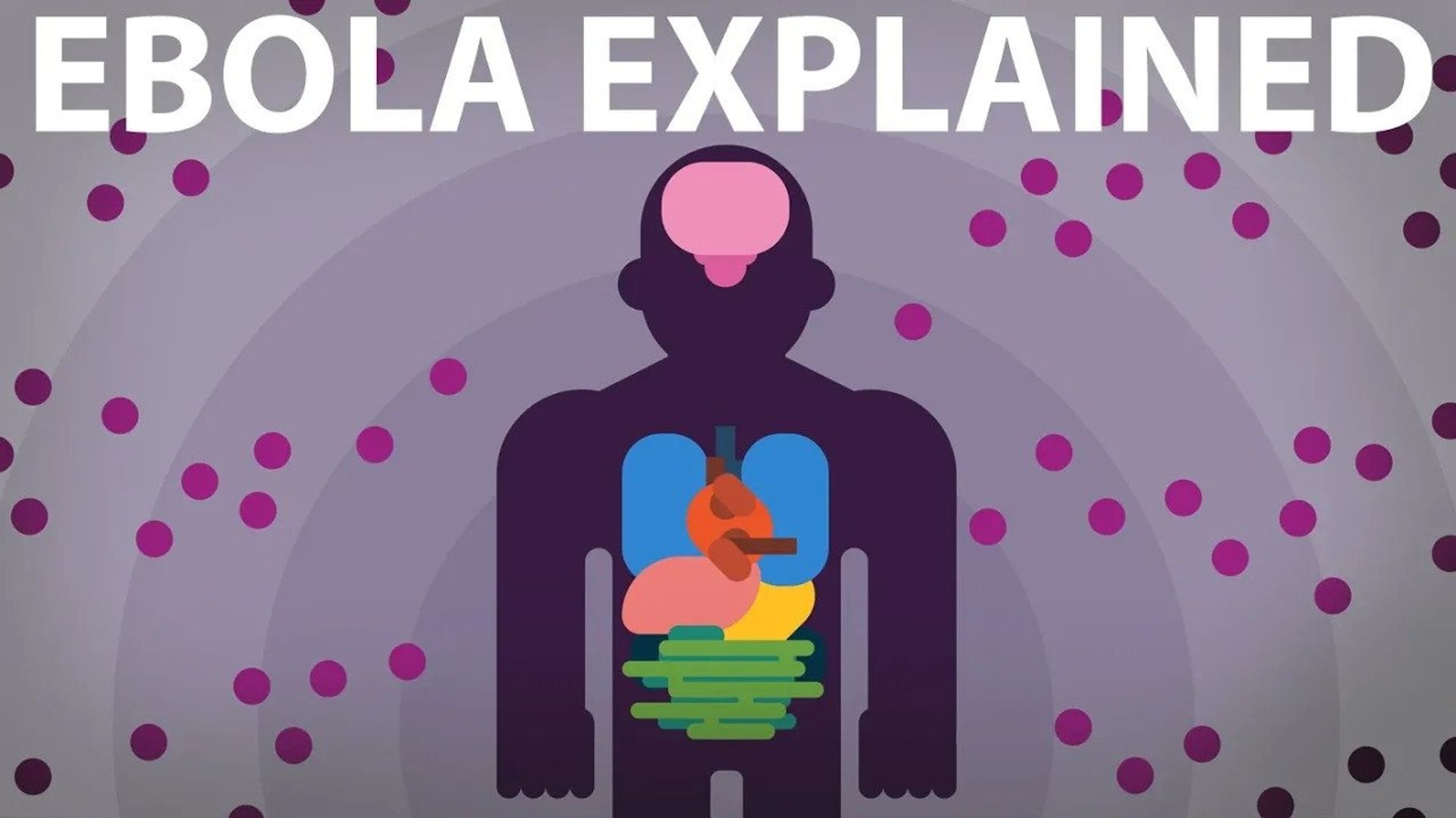 Kurzgesagt: In a Nutshell background