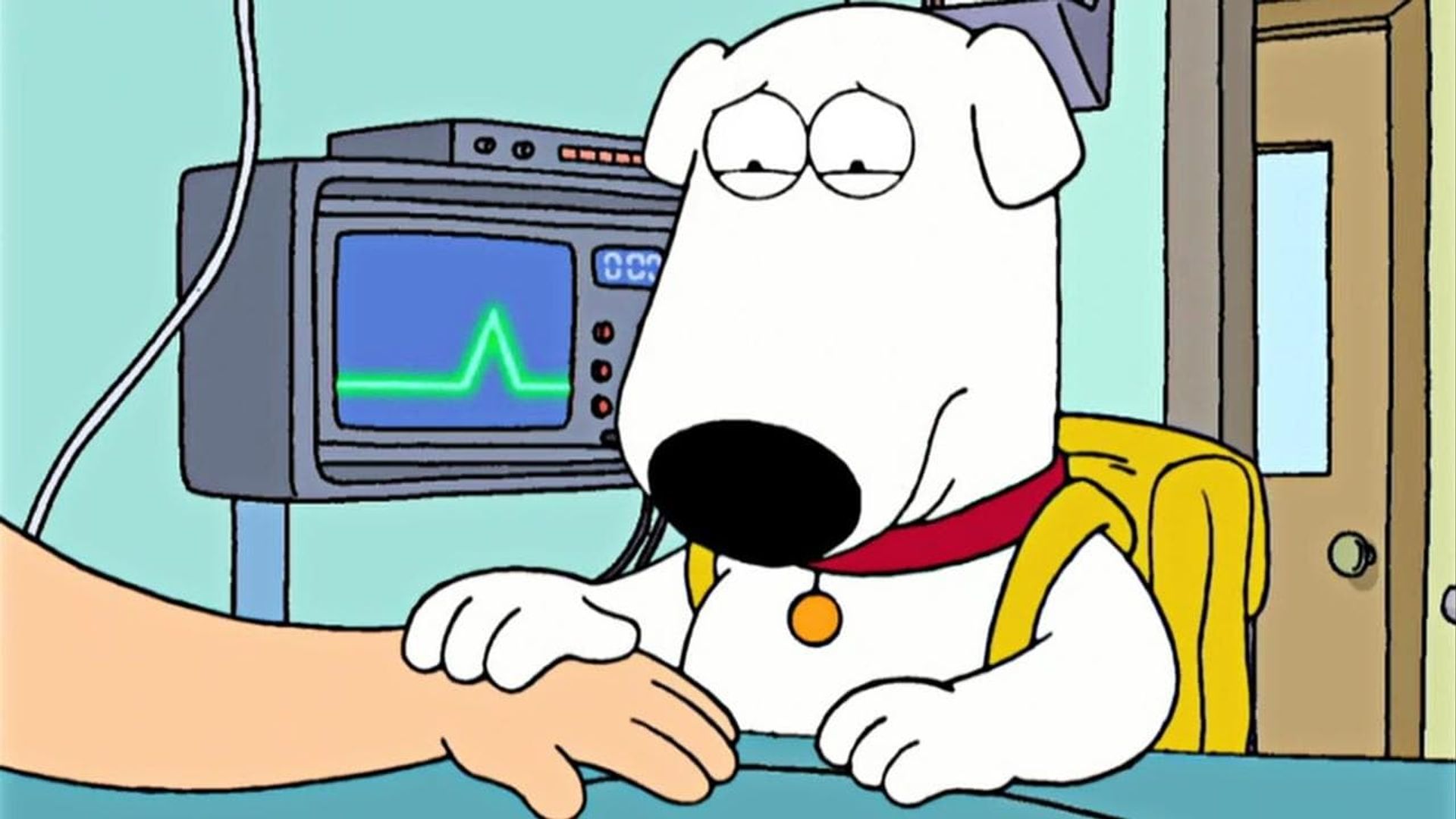 Family Guy background