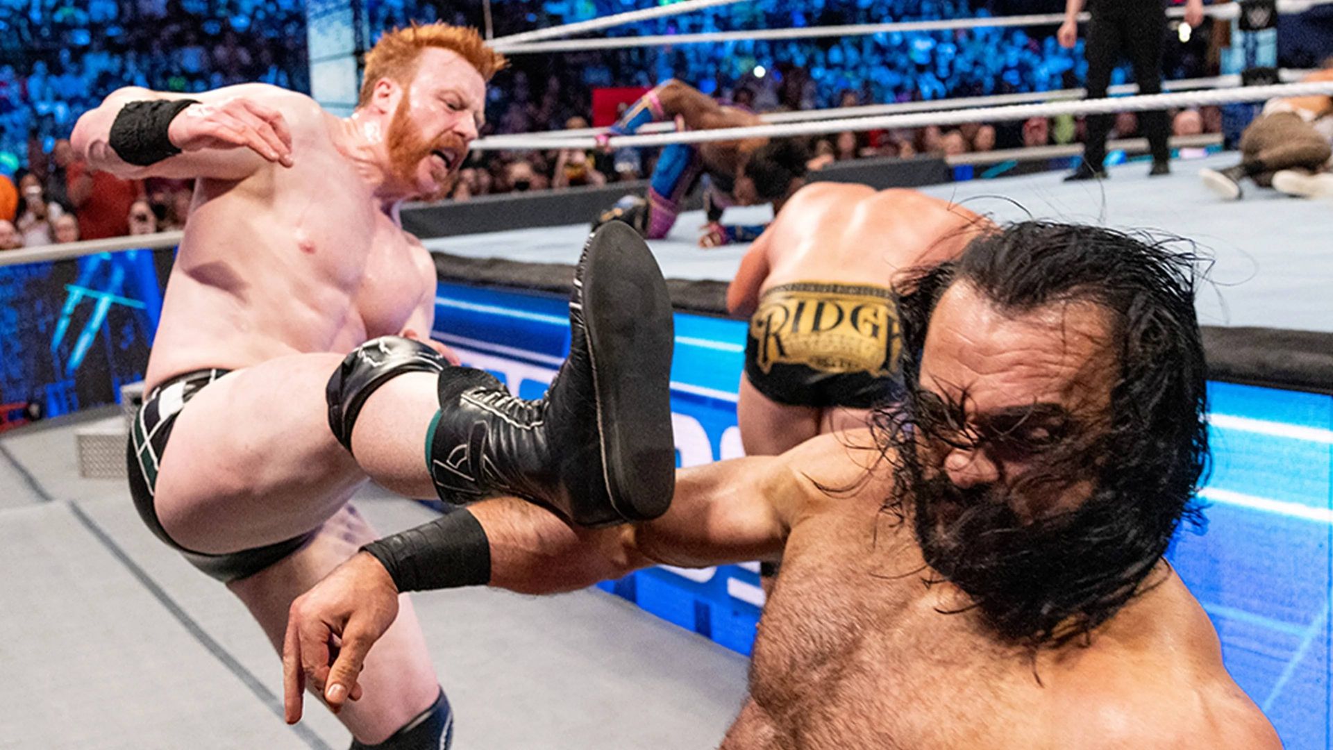 World Wrestling Federation Smackdown! background