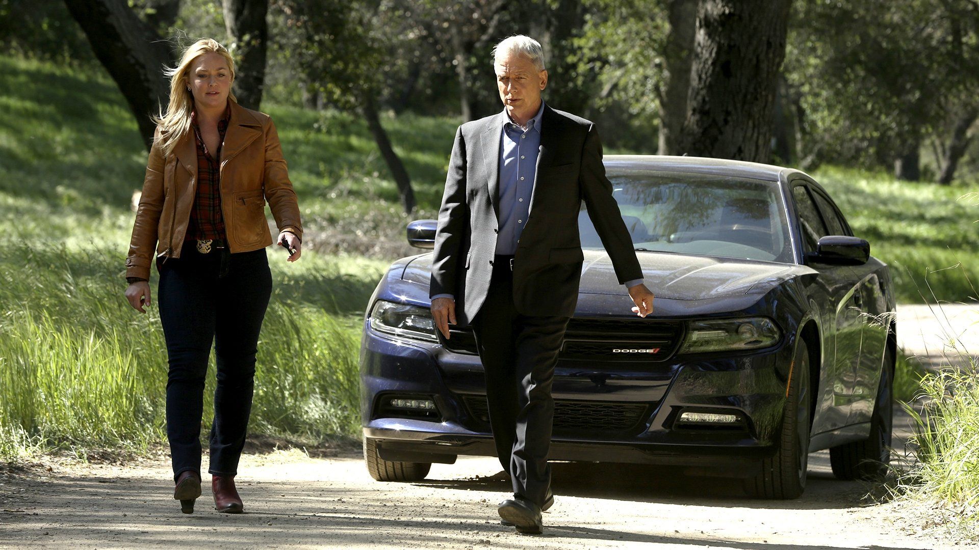 NCIS background