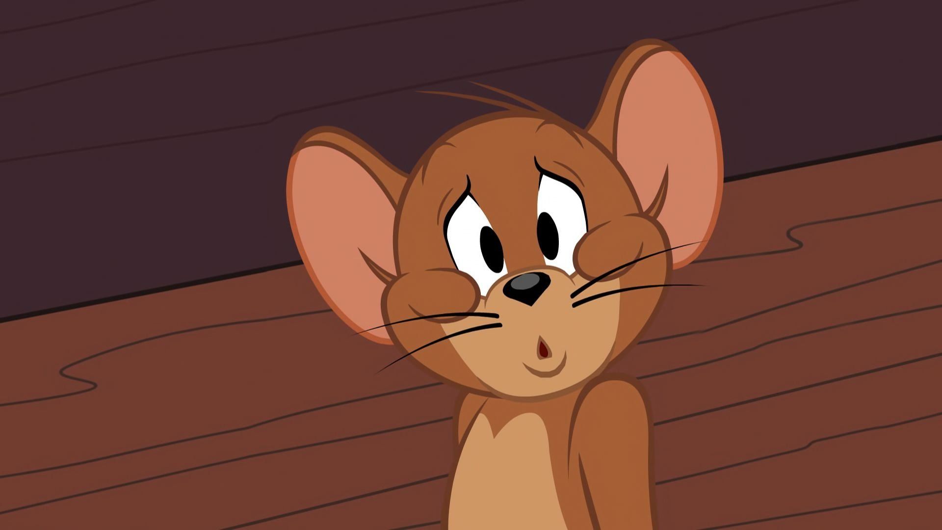 The Tom and Jerry Show background