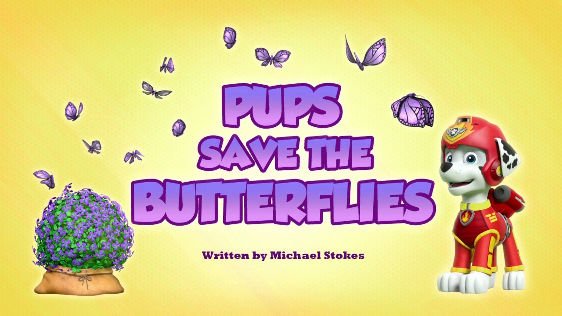 PAW Patrol background