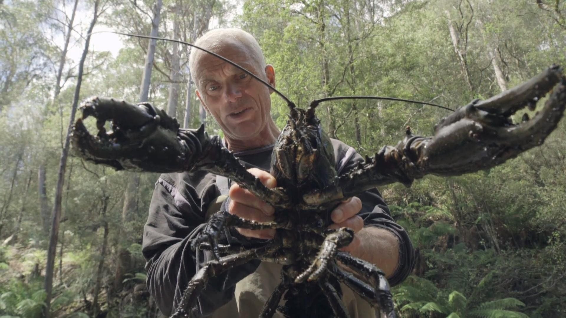 Jeremy Wade's Dark Waters background