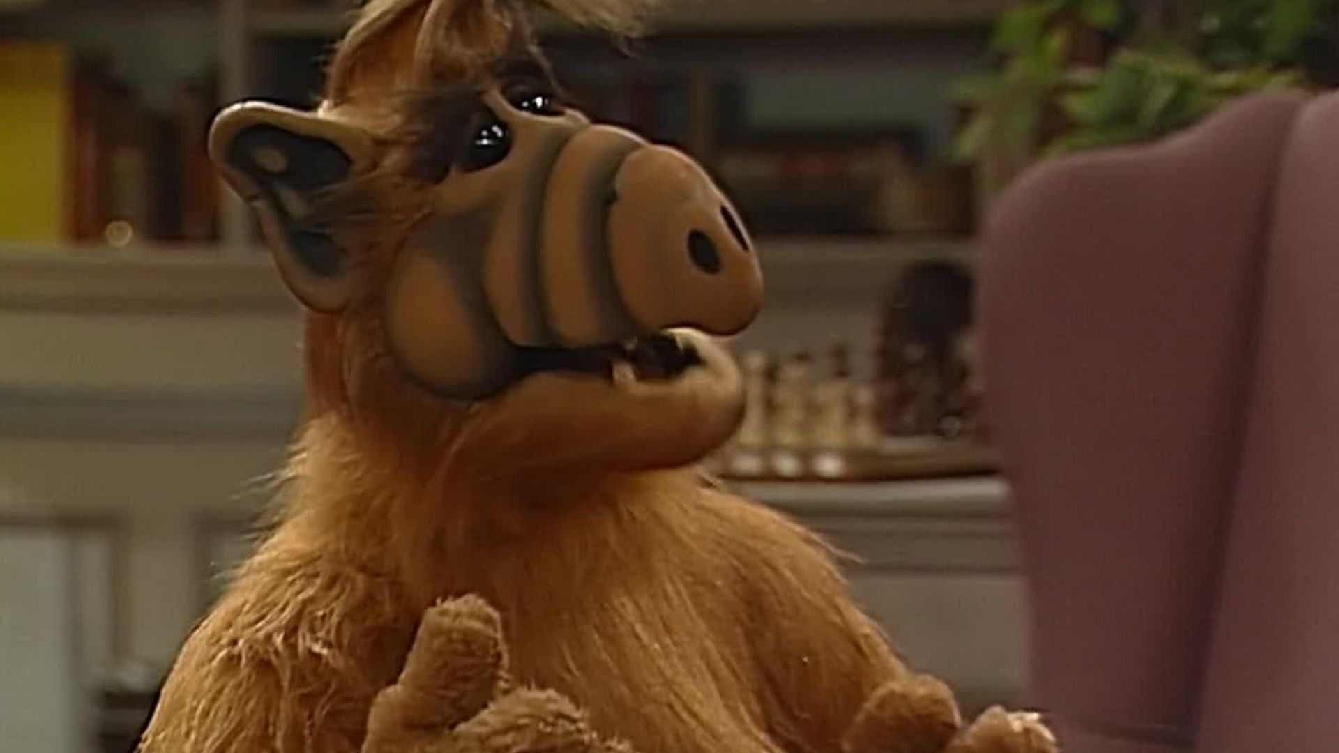 ALF background