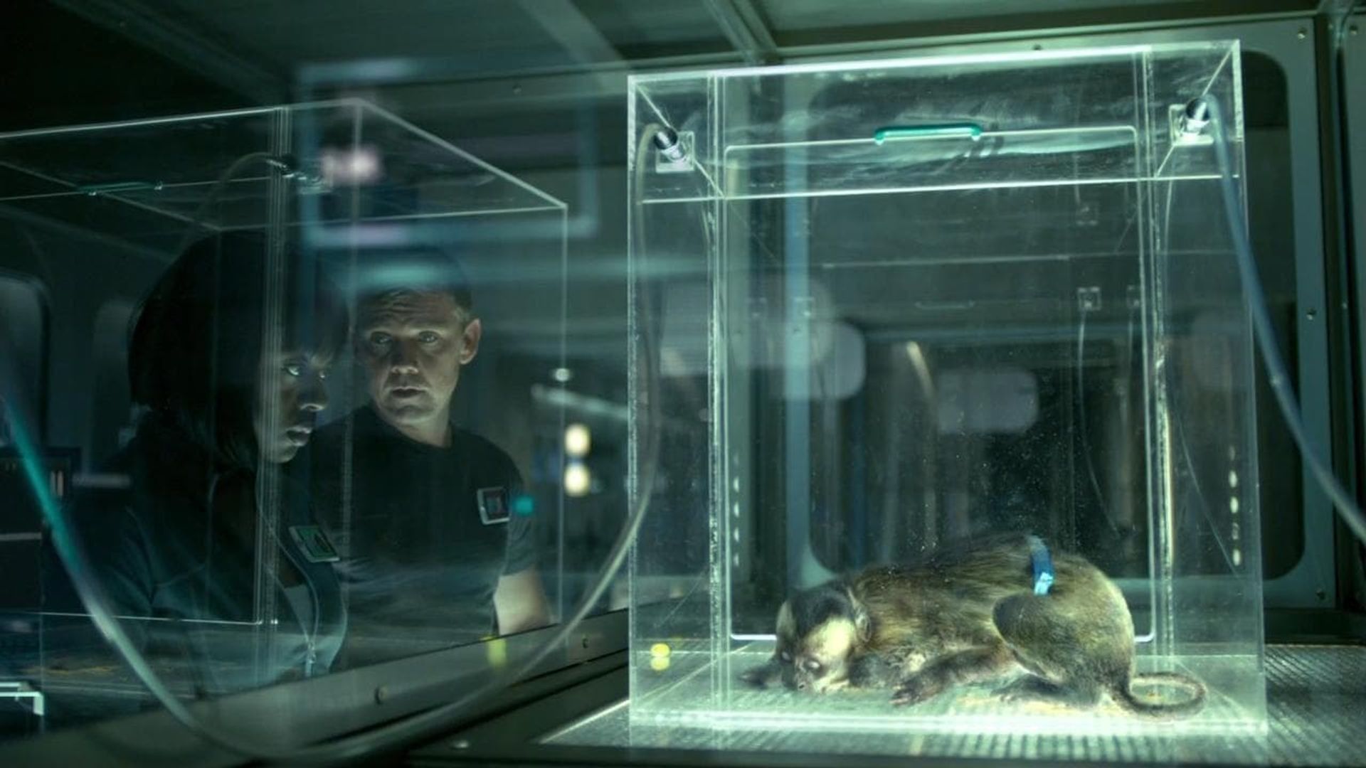 The Andromeda Strain background