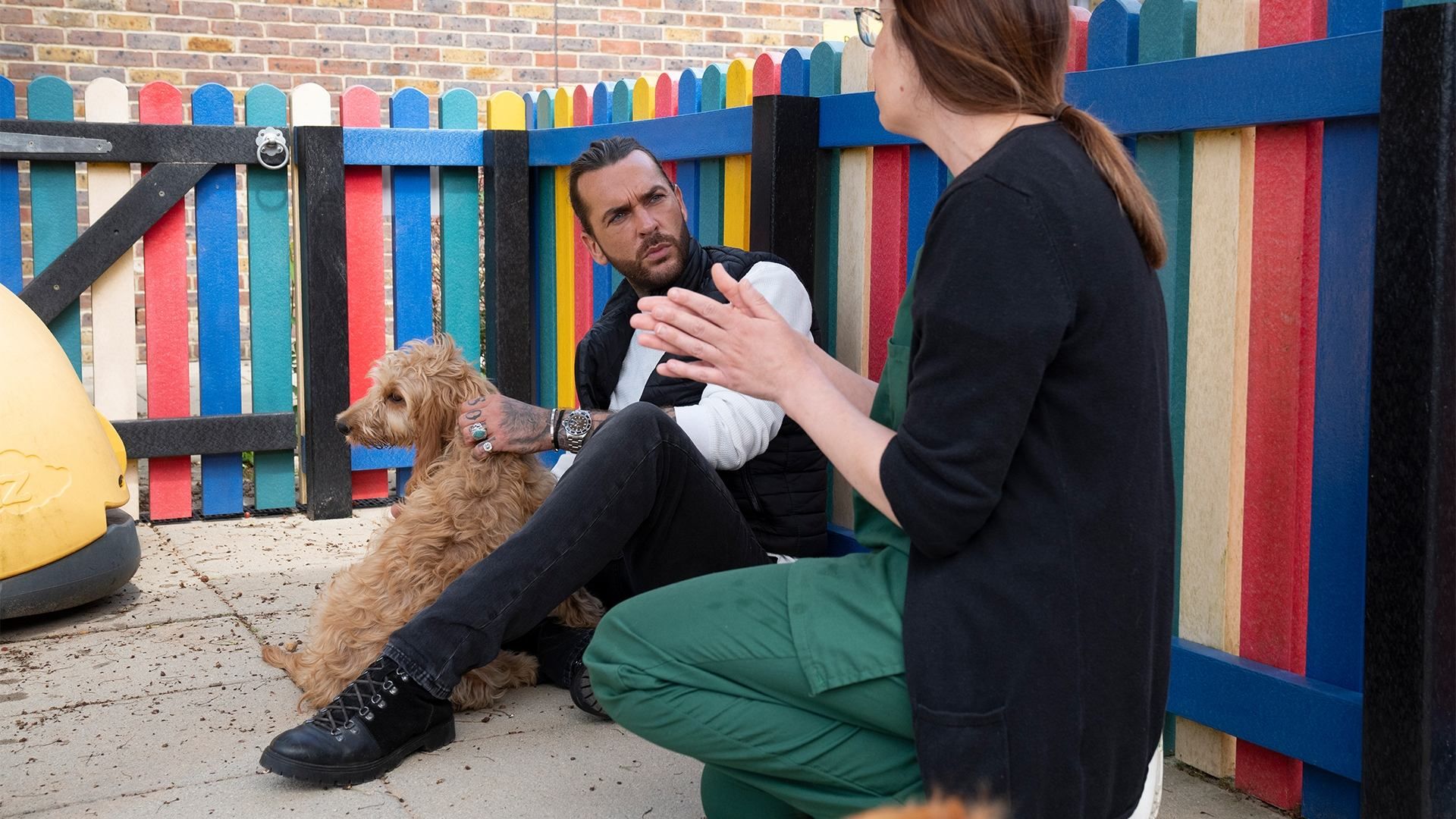Pete Wicks: For Dogs' Sake background