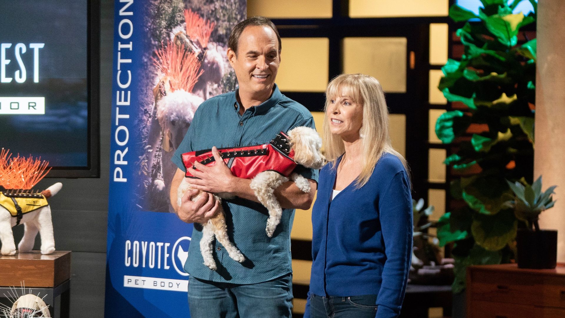 Shark Tank background
