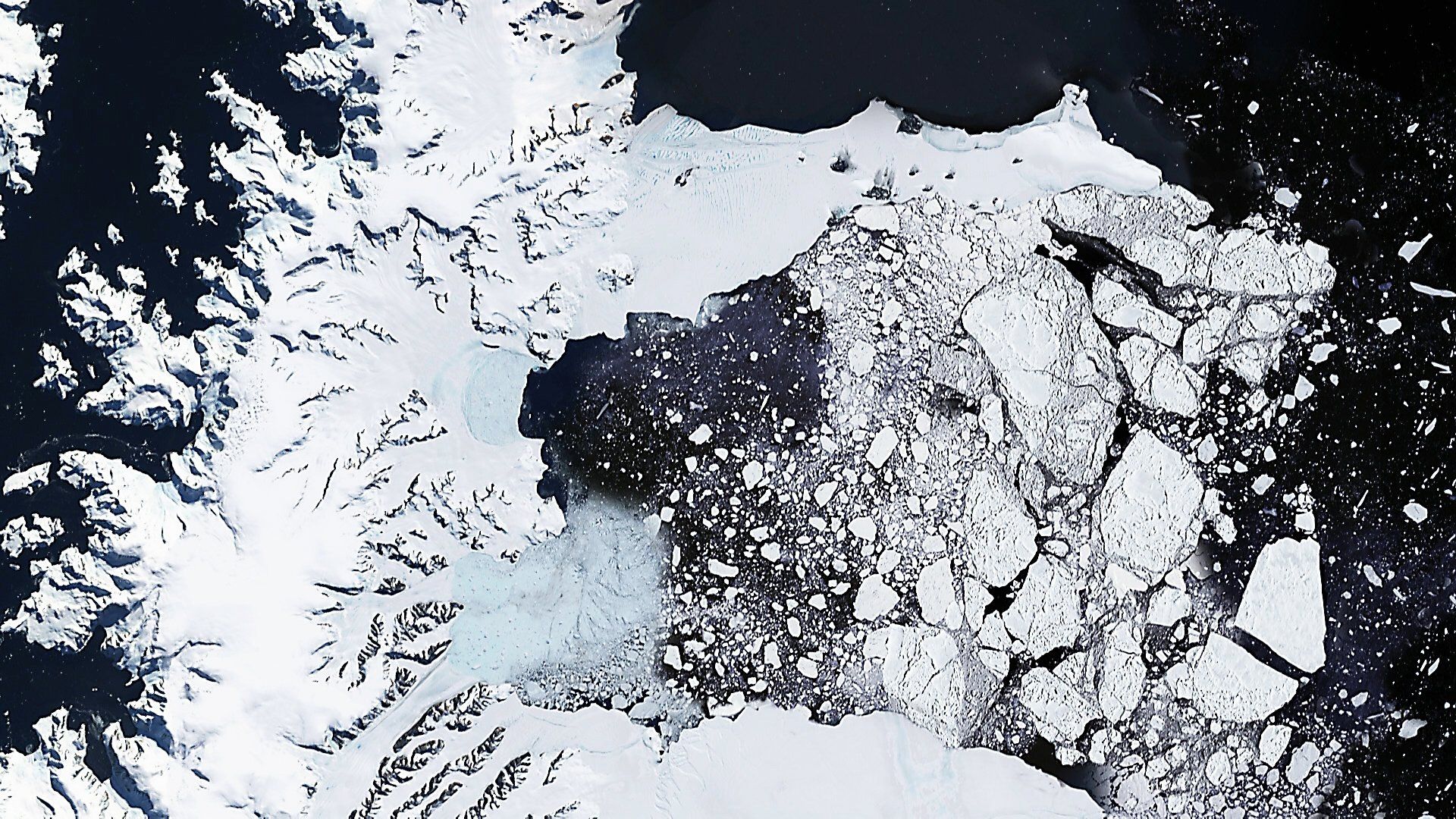 Frozen Planet background