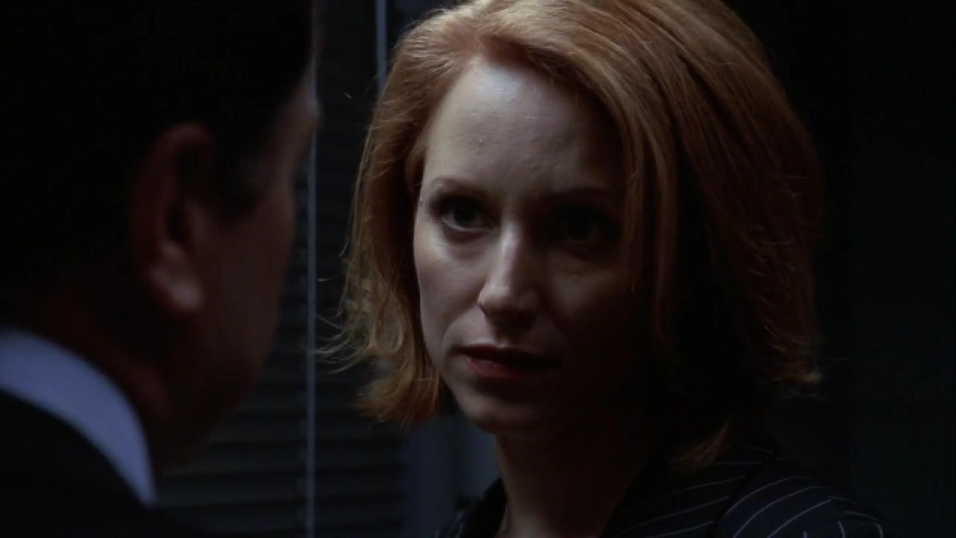 Law & Order: Criminal Intent background