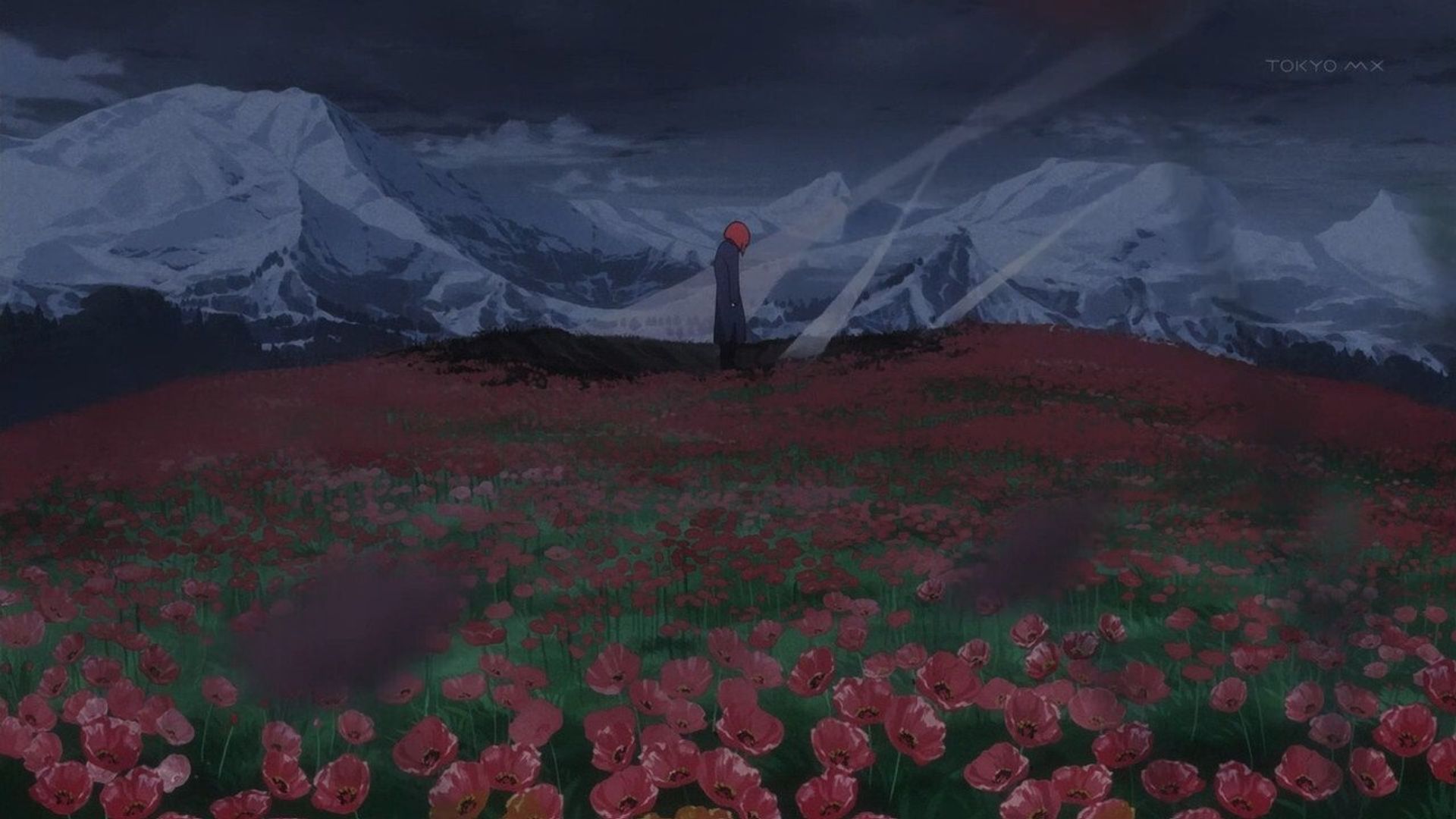 Yozakura karutetto background