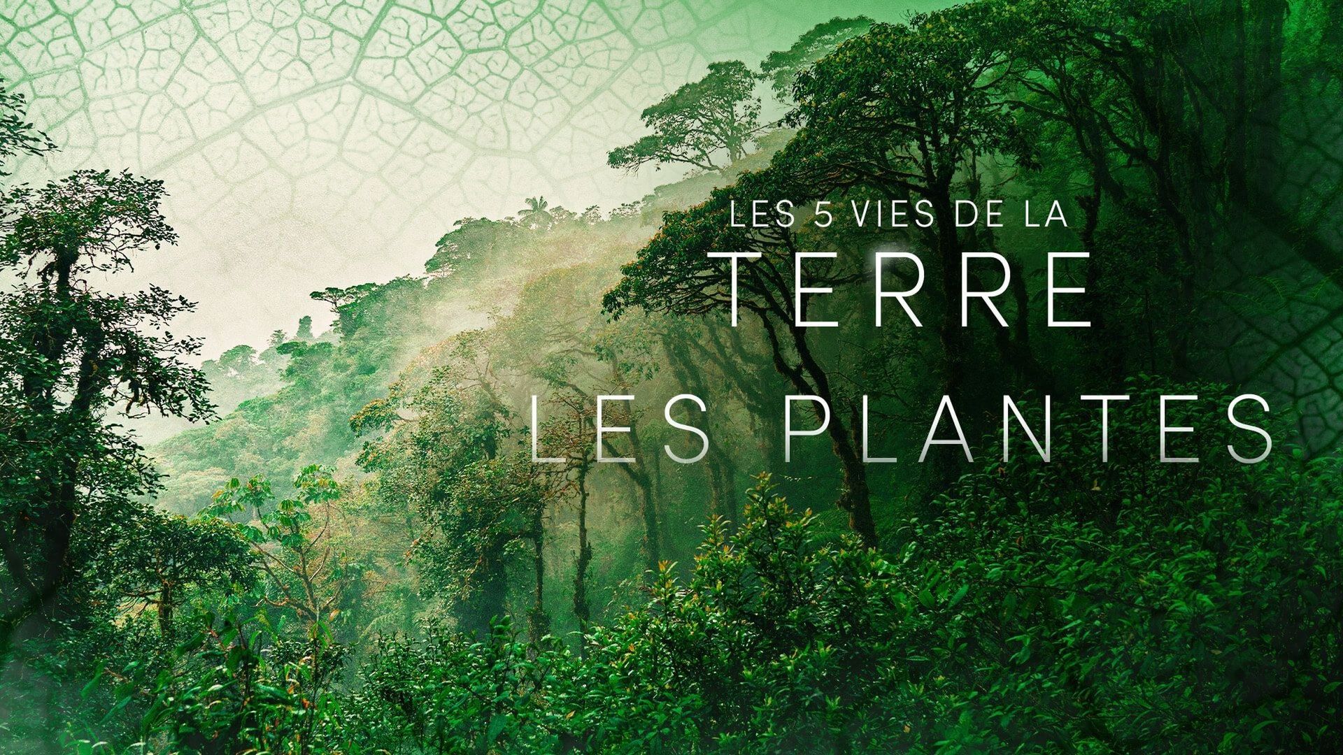 Earth background
