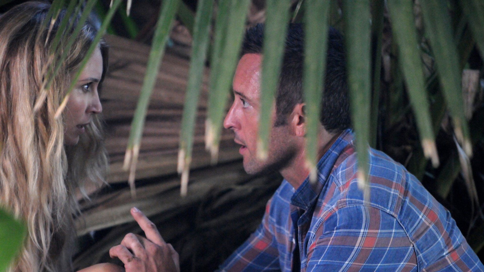 Hawaii Five-0 background