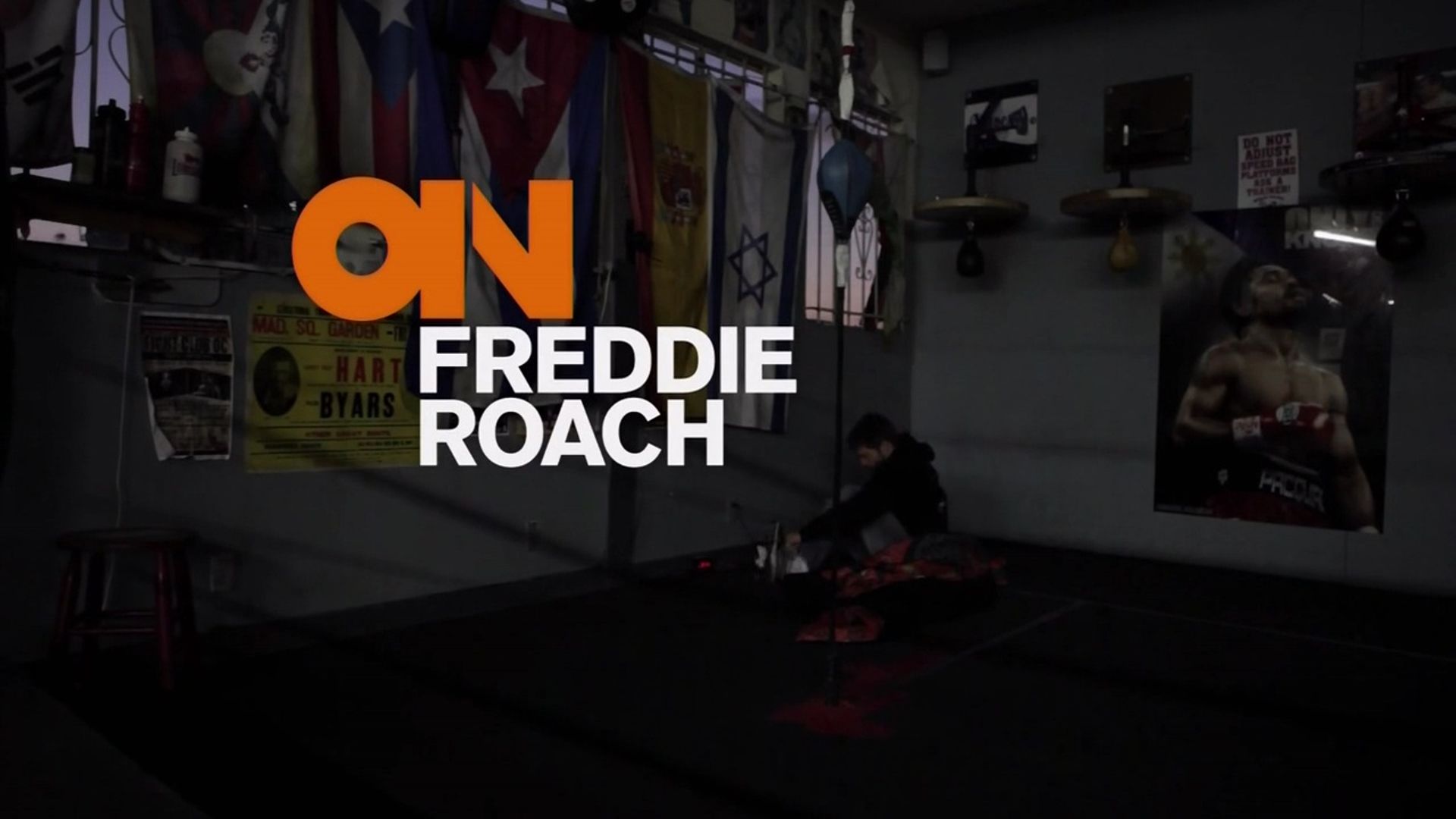 On Freddie Roach background