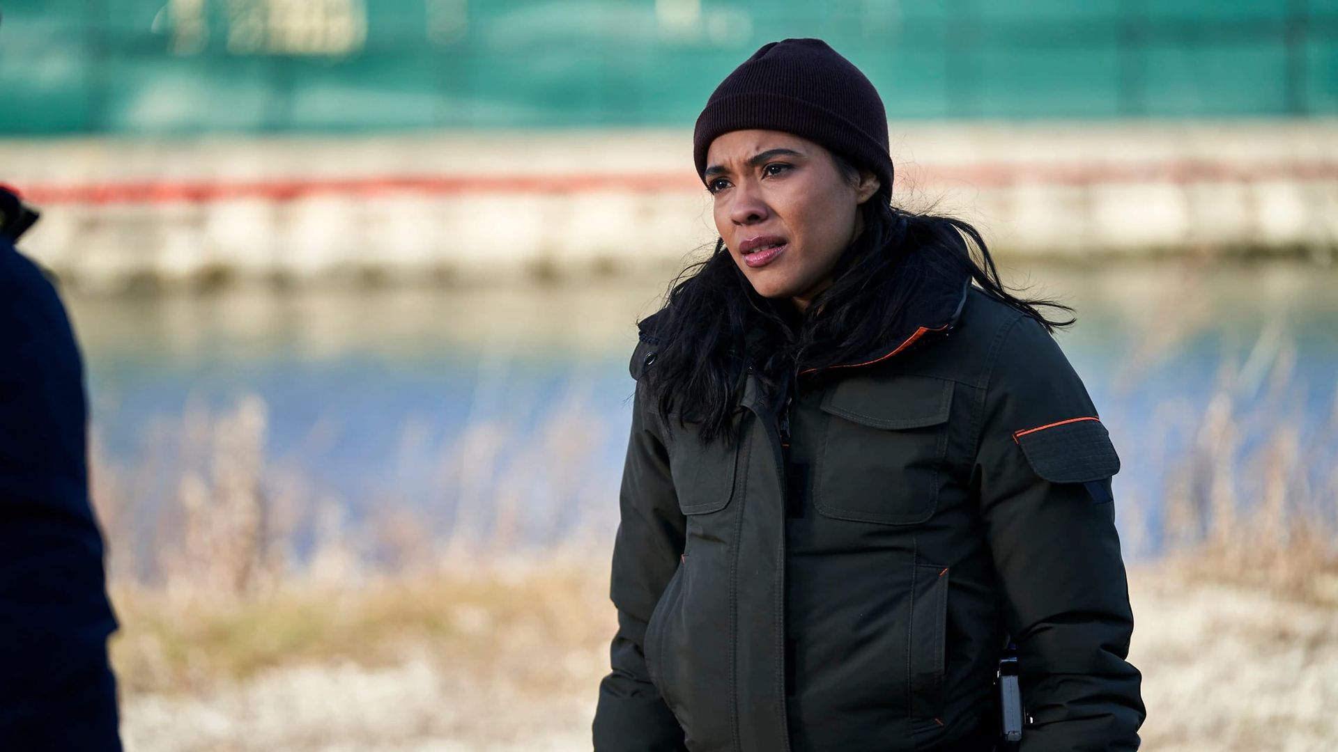 Chicago P.D. background